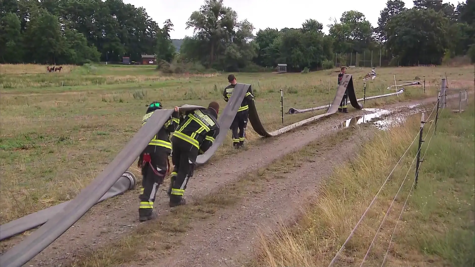 Gute Nachricht nach dem Waldbrand: Wege und Straßen im Müritz-Nationalpark wieder betretbar