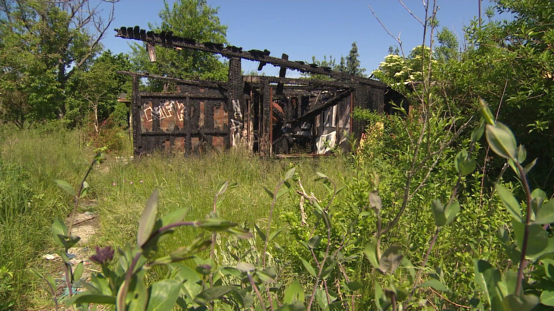 Bebauungspläne für Groten Pohl in Rostock gehen voran