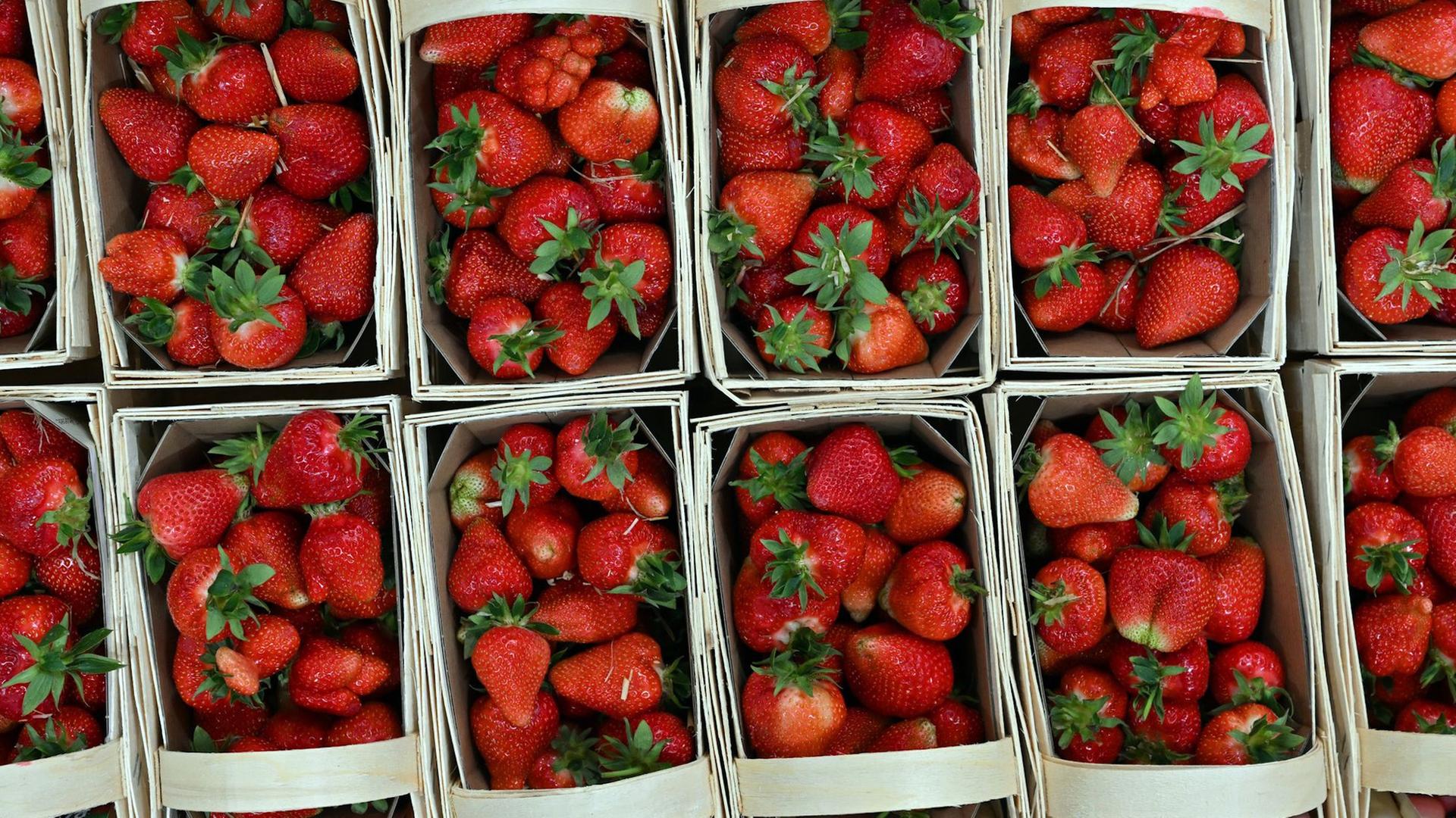 Erdbeeren verkaufsfertig in Schalen. | dpa, Martin Schutt