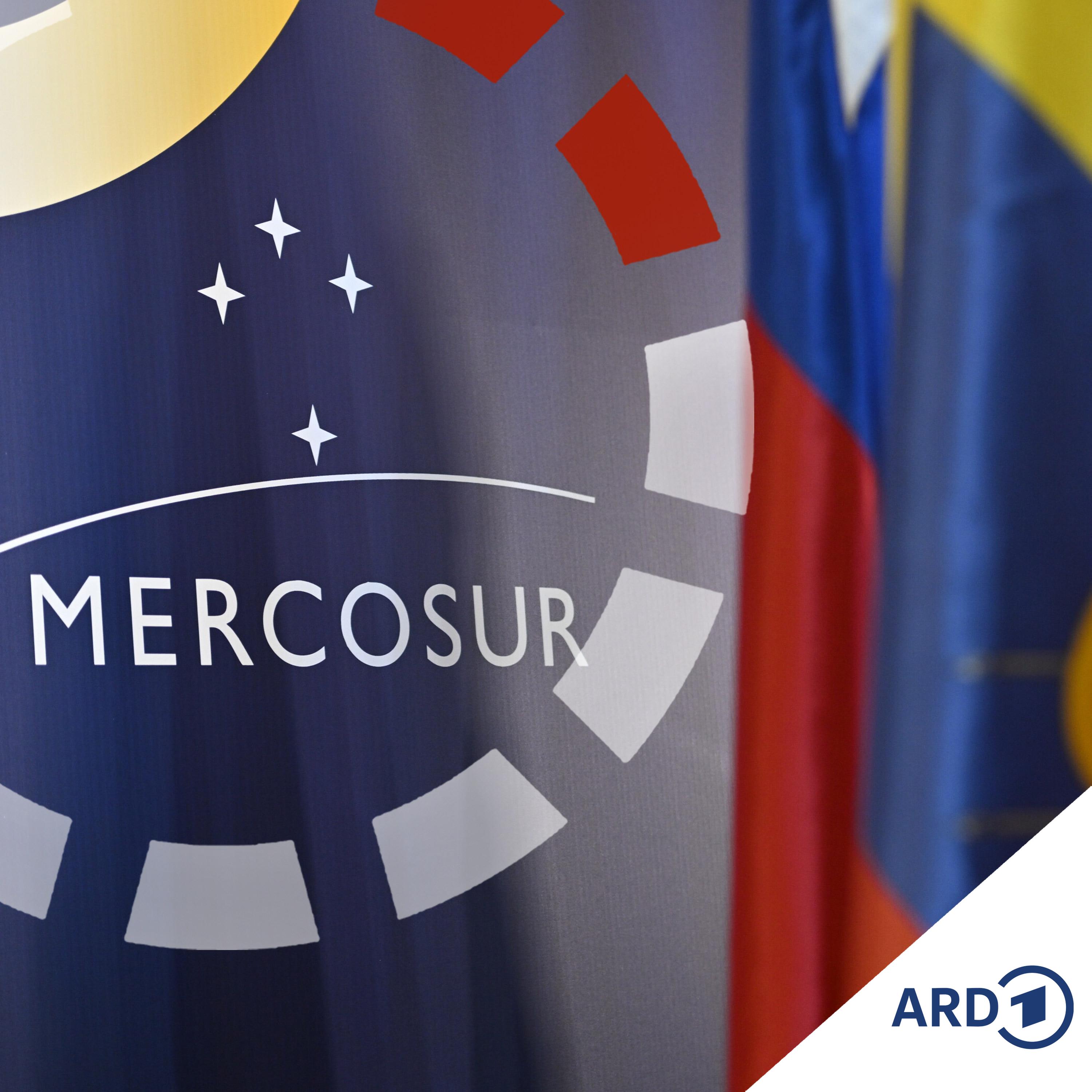 Mercosur beschlossen - und jetzt? episode artwork
