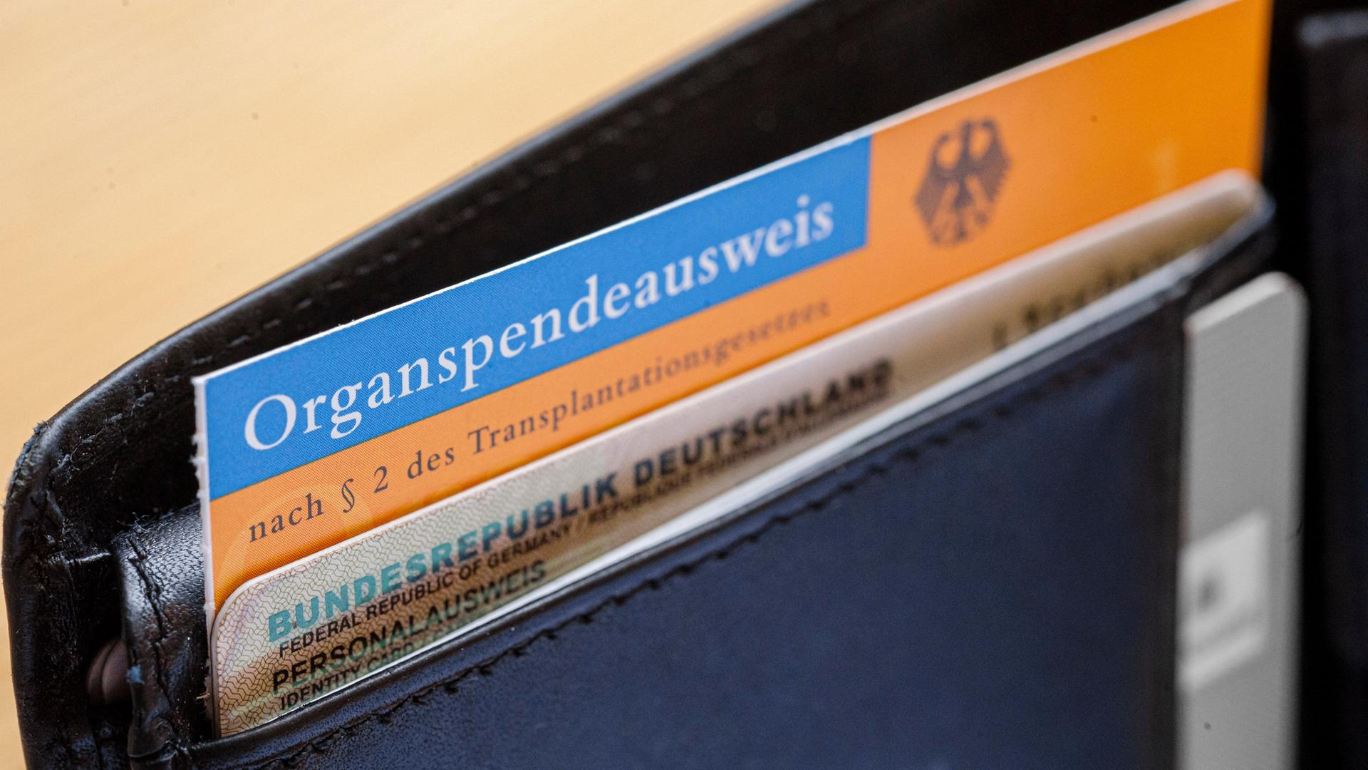 Ein Organspendeausweis und ein Personalausweis stecken in einer Brieftasche. | picture alliance / photothek, Thomas Trutschel