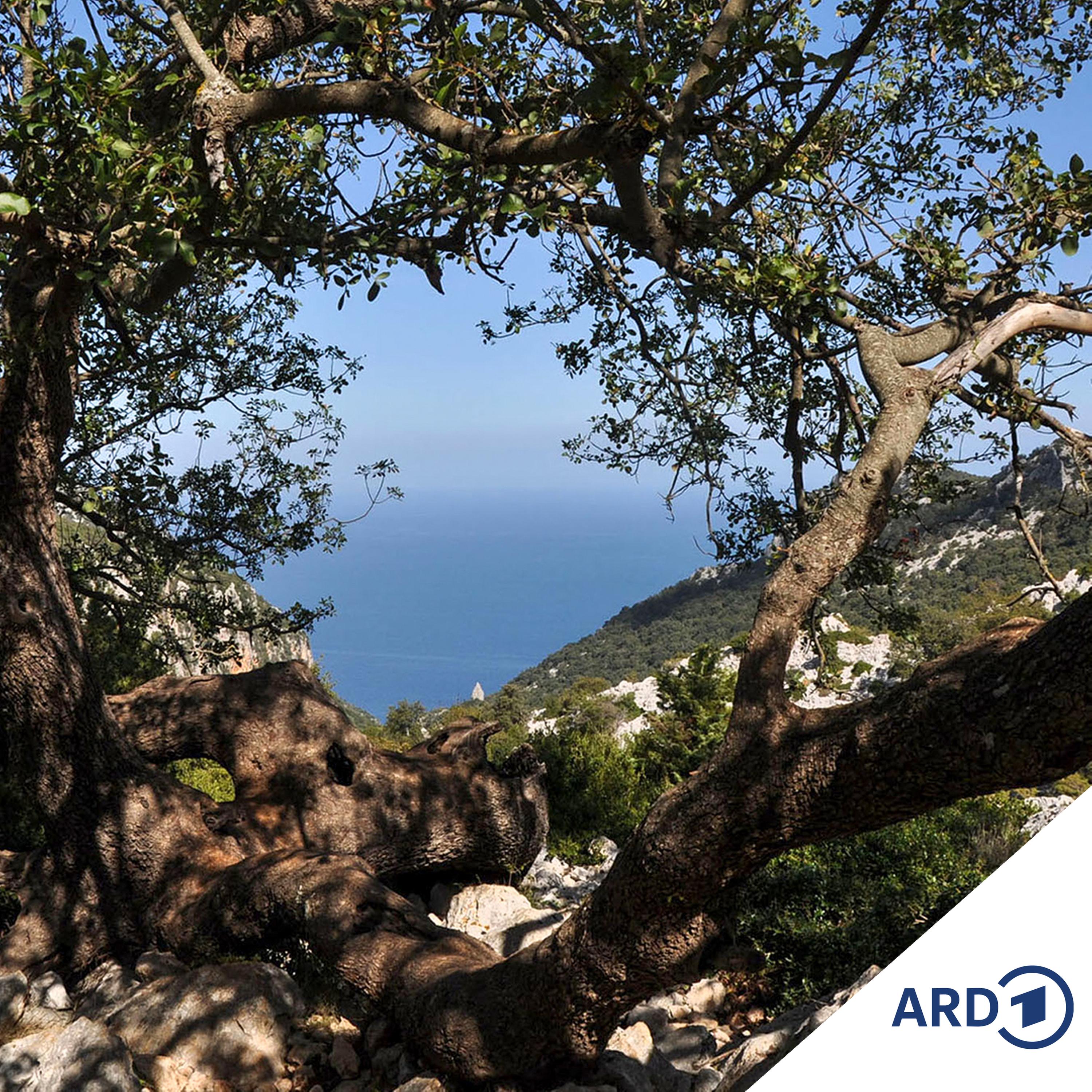 NDR Kultur - NachGedacht