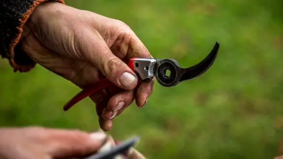 Hochwertige Gartenscheren können zur Pflege auseinandergebaut werden. | NDR, Udo Tanske Eine auseinandergebaute Gartenschere wird geschliffen
