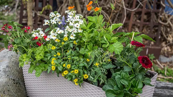 blumenstnder metall rost Blumenstnder Elegant mit Schale  Handgefertigte Rostdeko aus Metall