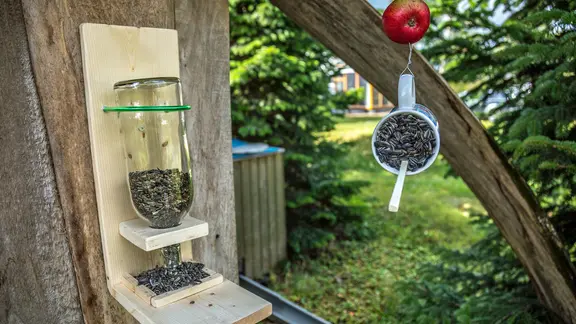 Futterstationen für Vögel hängen an einem Schuppen und an einem Baum. | NDR, Udo Tanske Futterstationen für Vögel hängen an einem Schuppen und an einem Baum.
