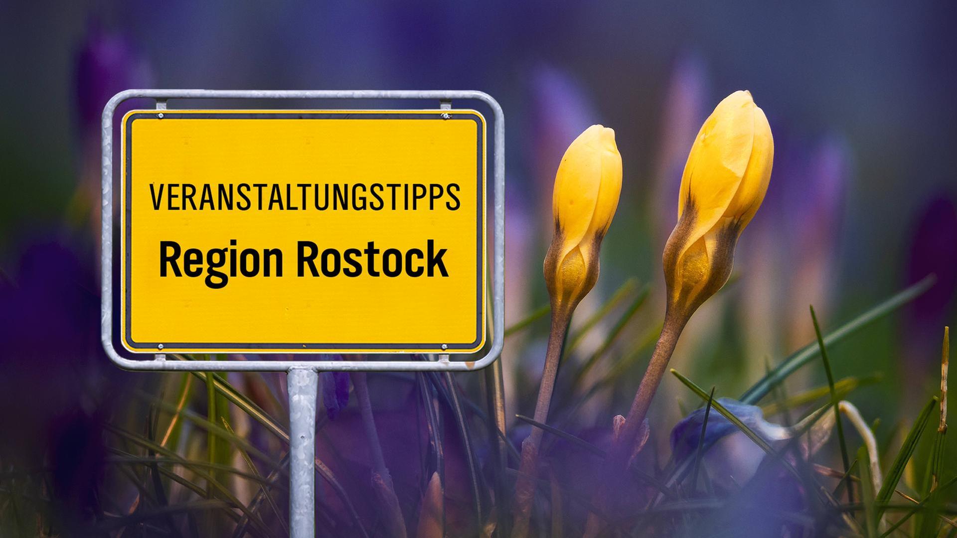 Kunst, Kuchen, Klönen: Das ist los in und um Rostock