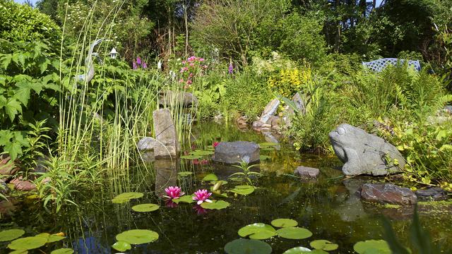 Einen Teich im Garten anlegen: Die wichtigsten Schritte