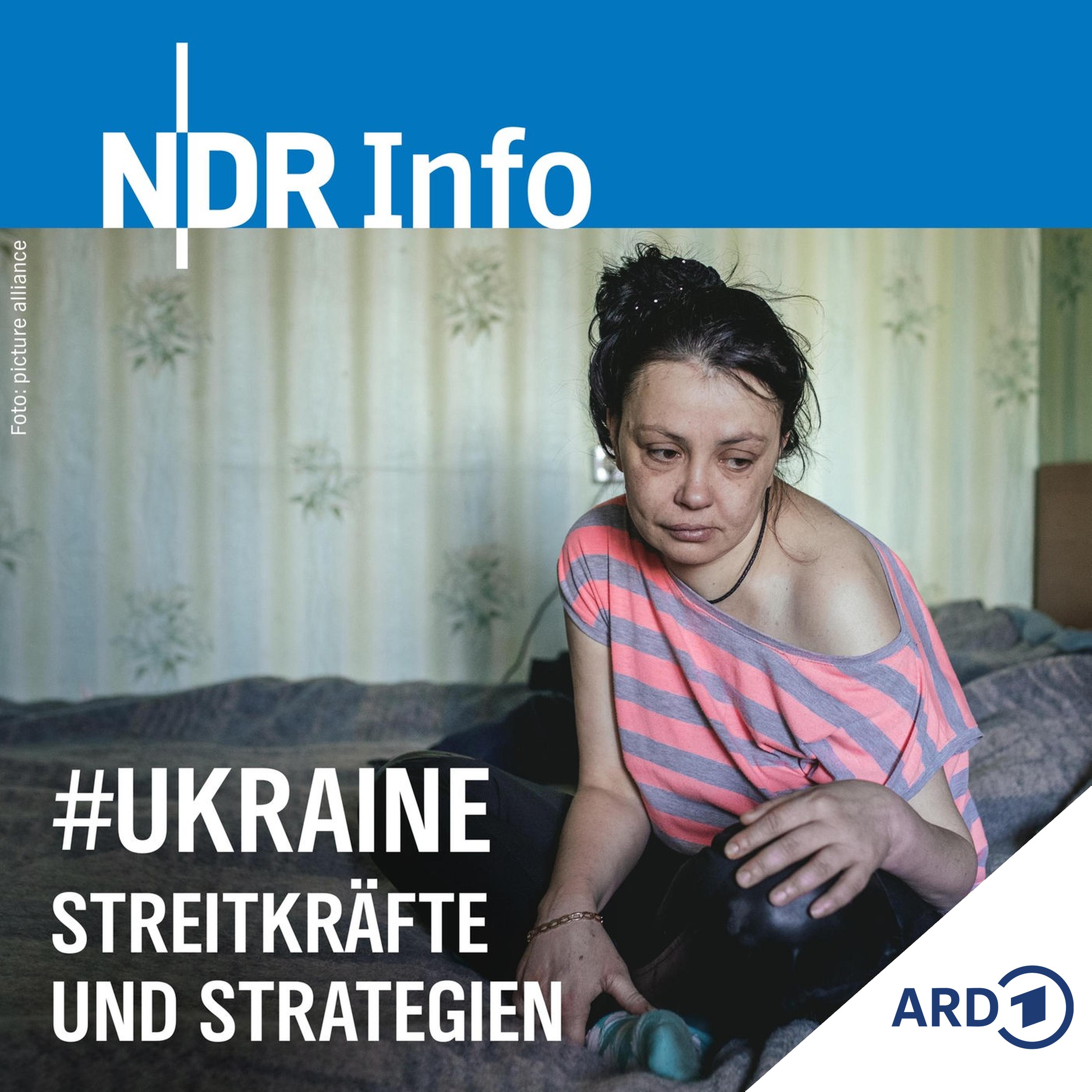 Streitkräfte und Strategien