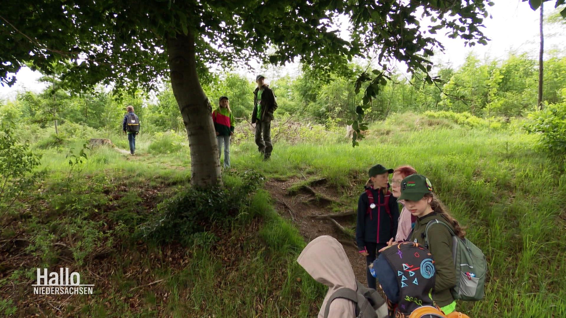 Junior-Ranger laufen durch die Natur. | Screenshot
