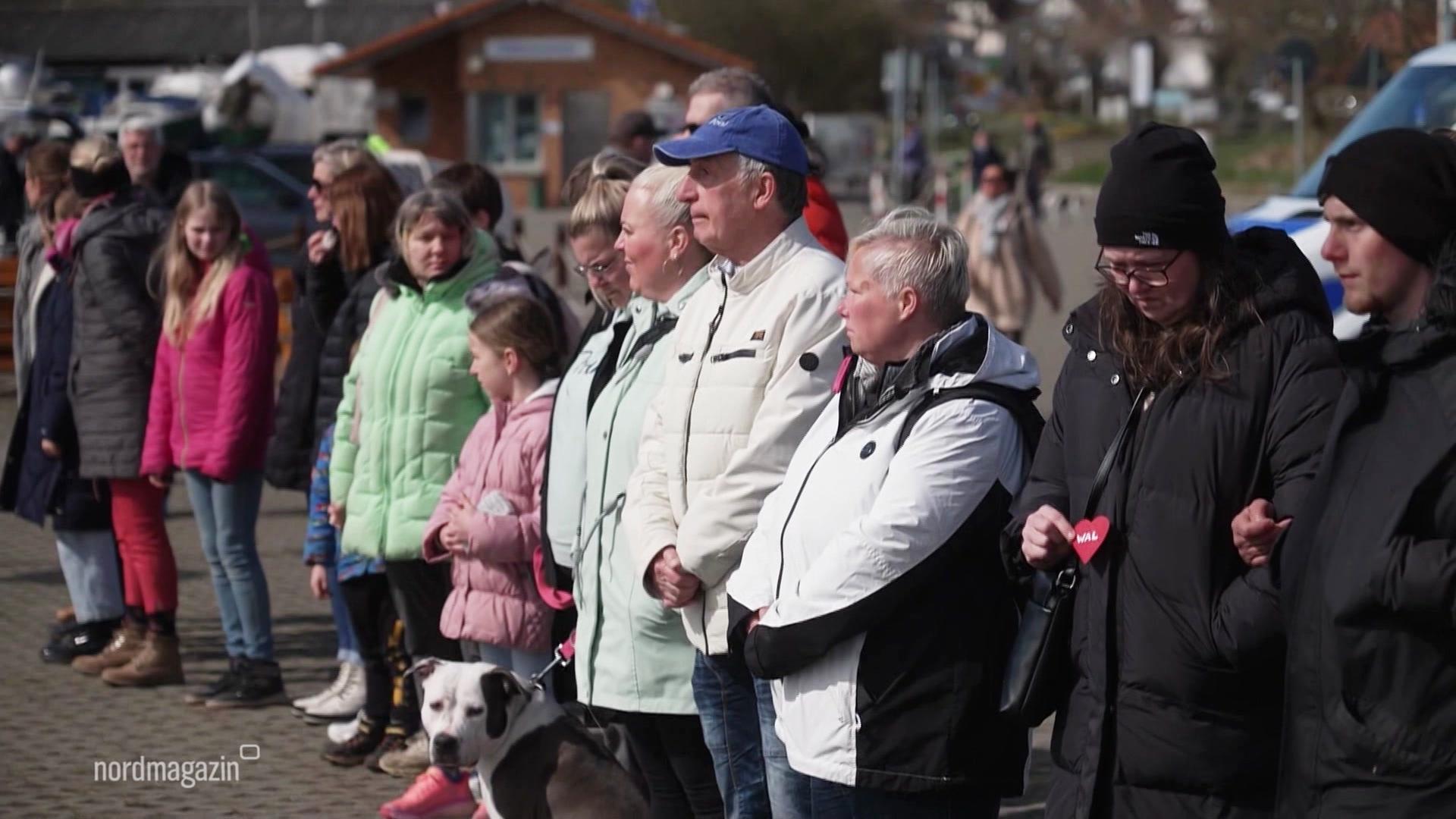 Buckelwal liegt regungslos vor Poel