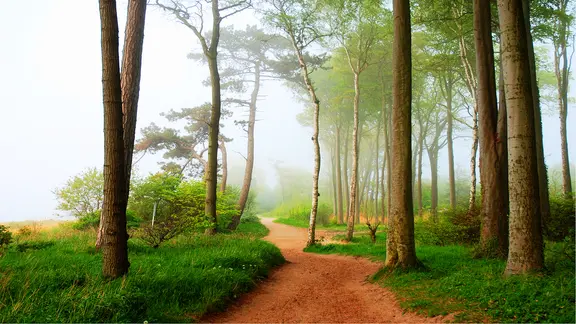 Yigit rus qizini zorlik bilan oldi