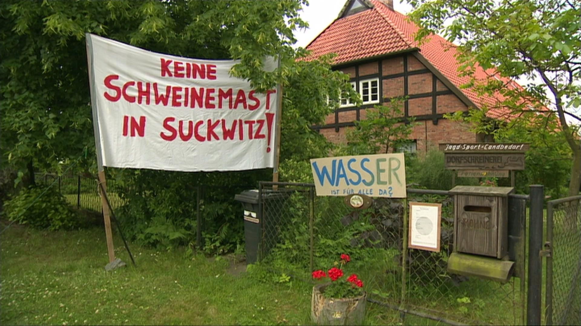 Gericht begründet Aus der Schweinemastanlage in Suckwitz