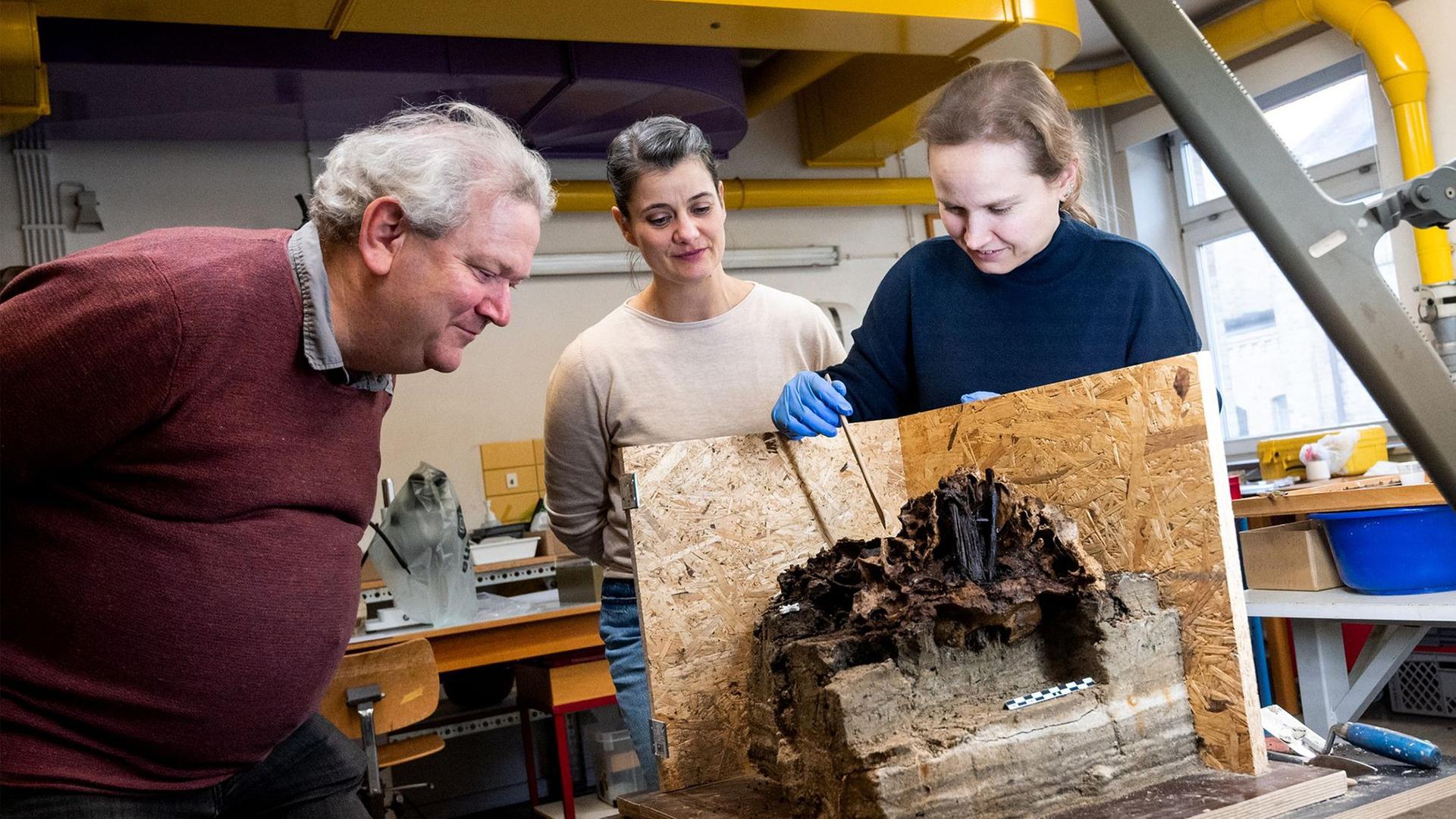 Einzigartiger Fund in Duvensee: Mysteriöser Schädel gibt Rätsel auf