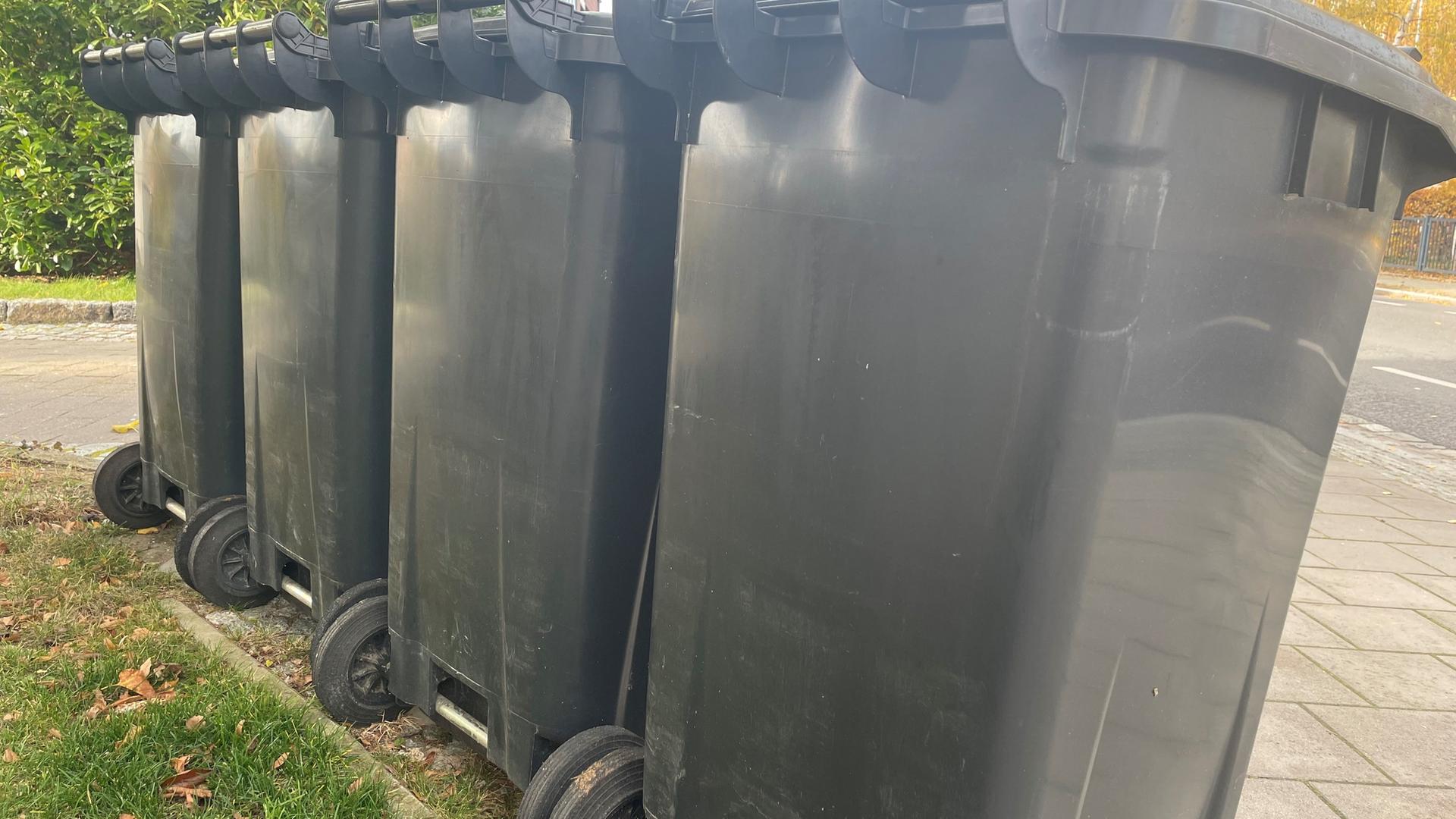 Restmüllentsorgung in Rostock: Neue Touren, neue Abfuhrtermine