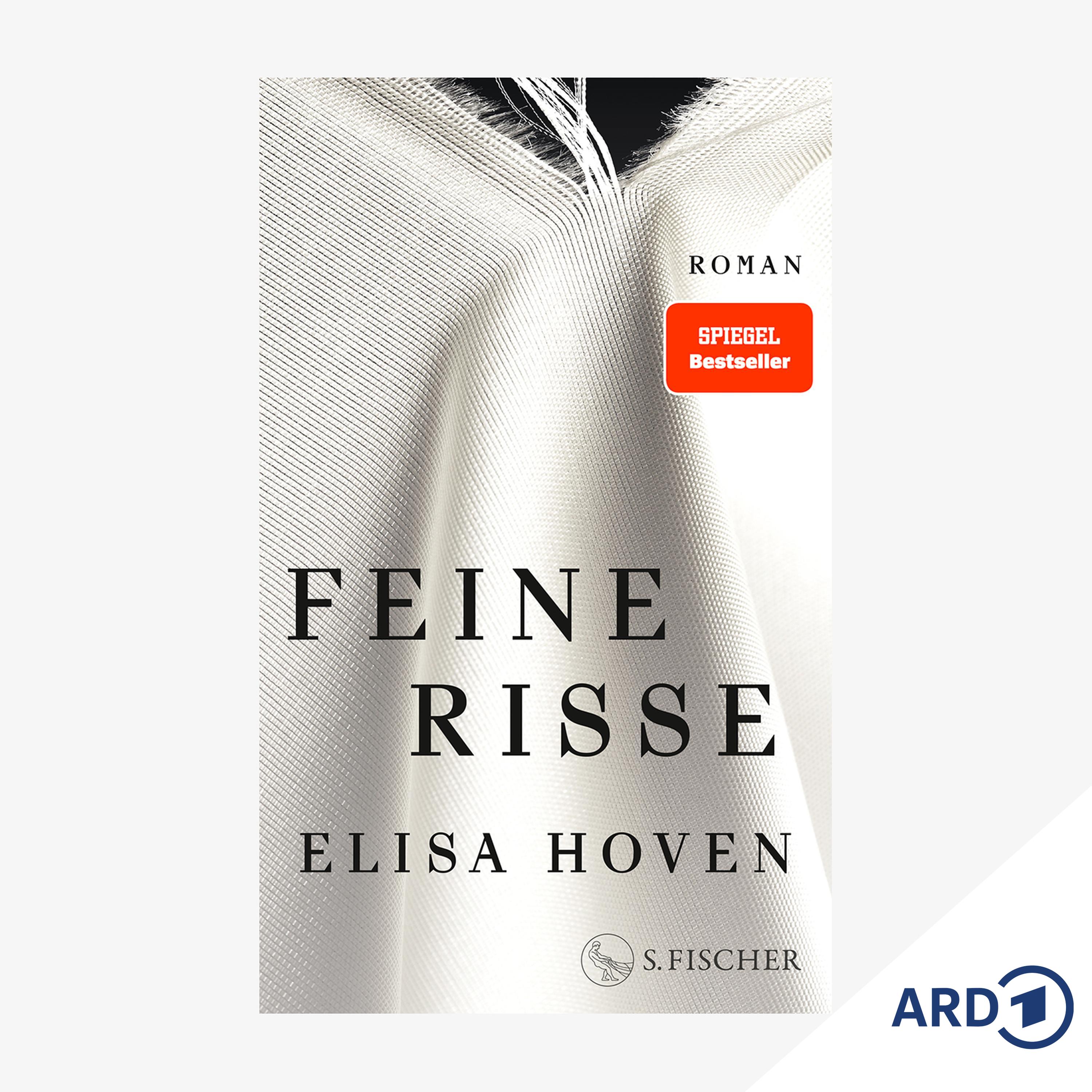 Neue Bücher: "Feine Risse" von Elisa Hoven episode artwork