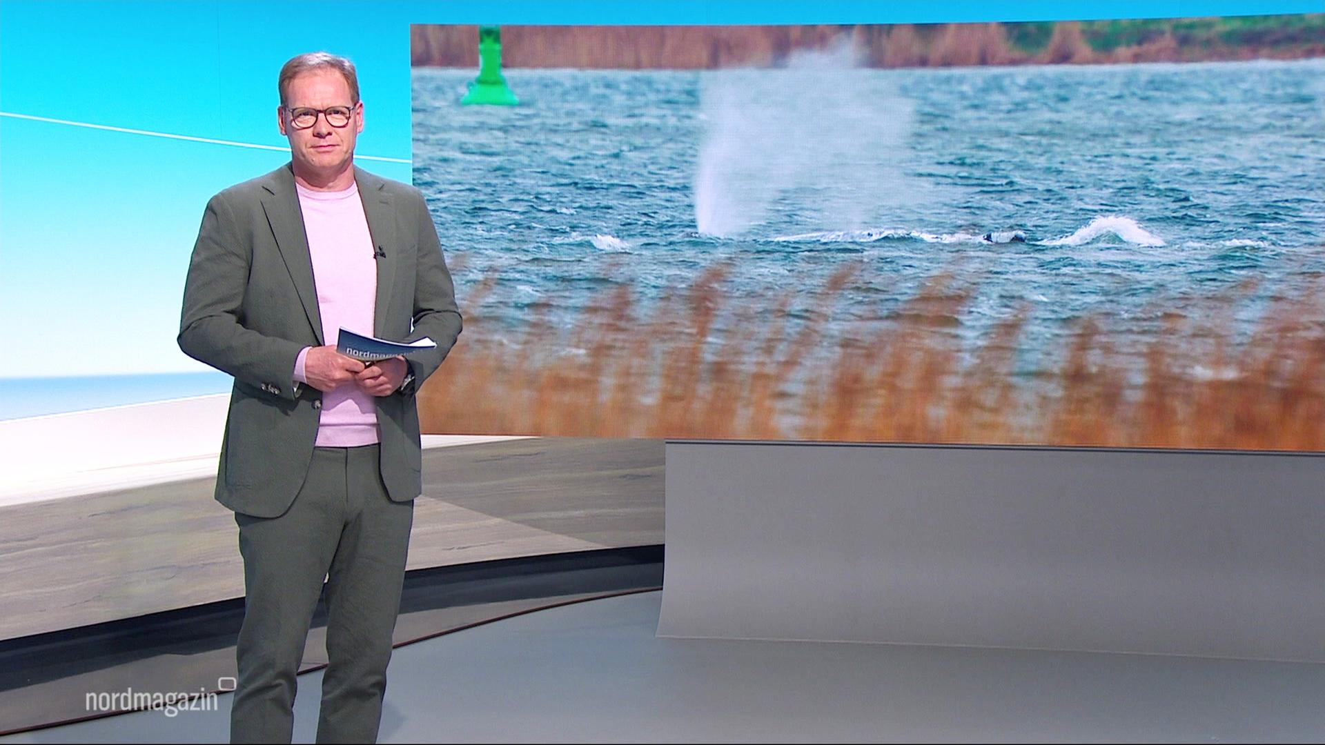 Thilo Tautz moderiert das Nordmagazin. | Screenshot