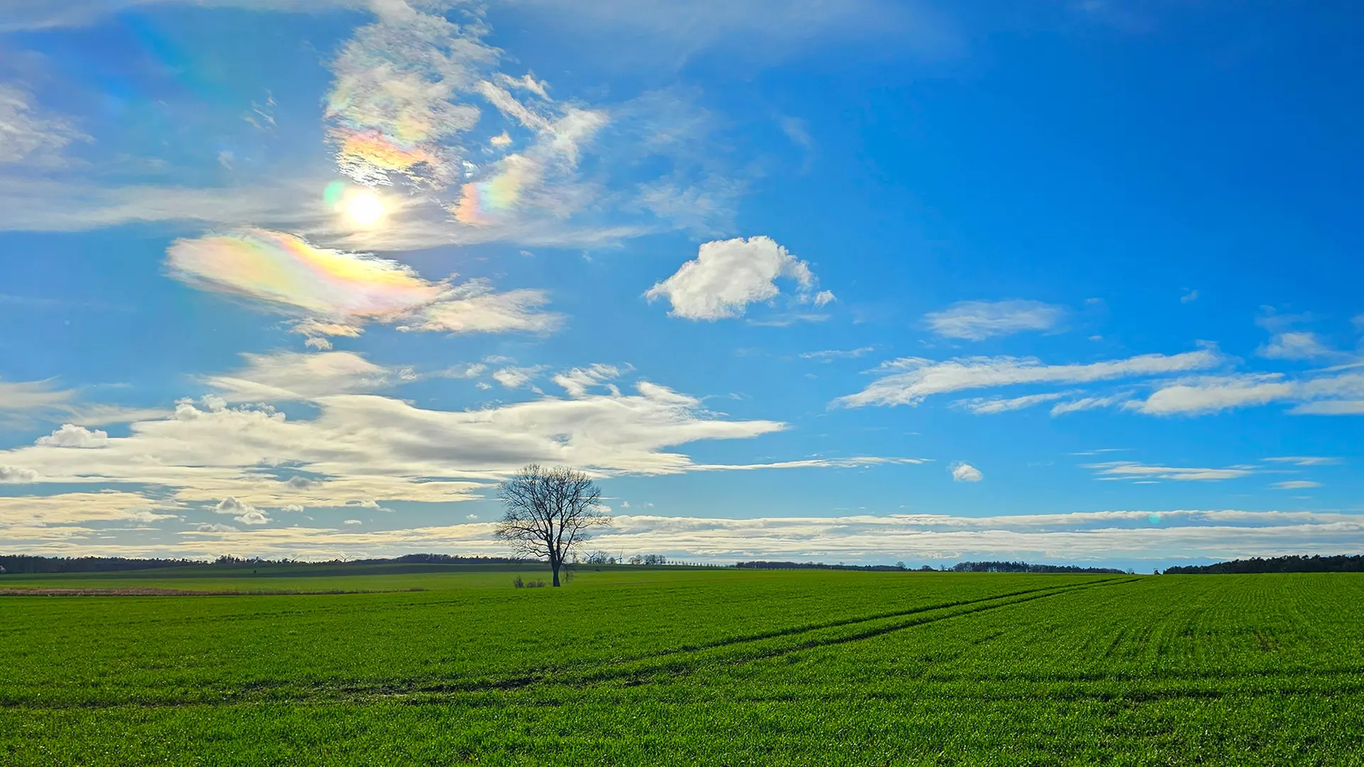 Wetter am Wochenende: Temperaturen steigen in Niedersachsen