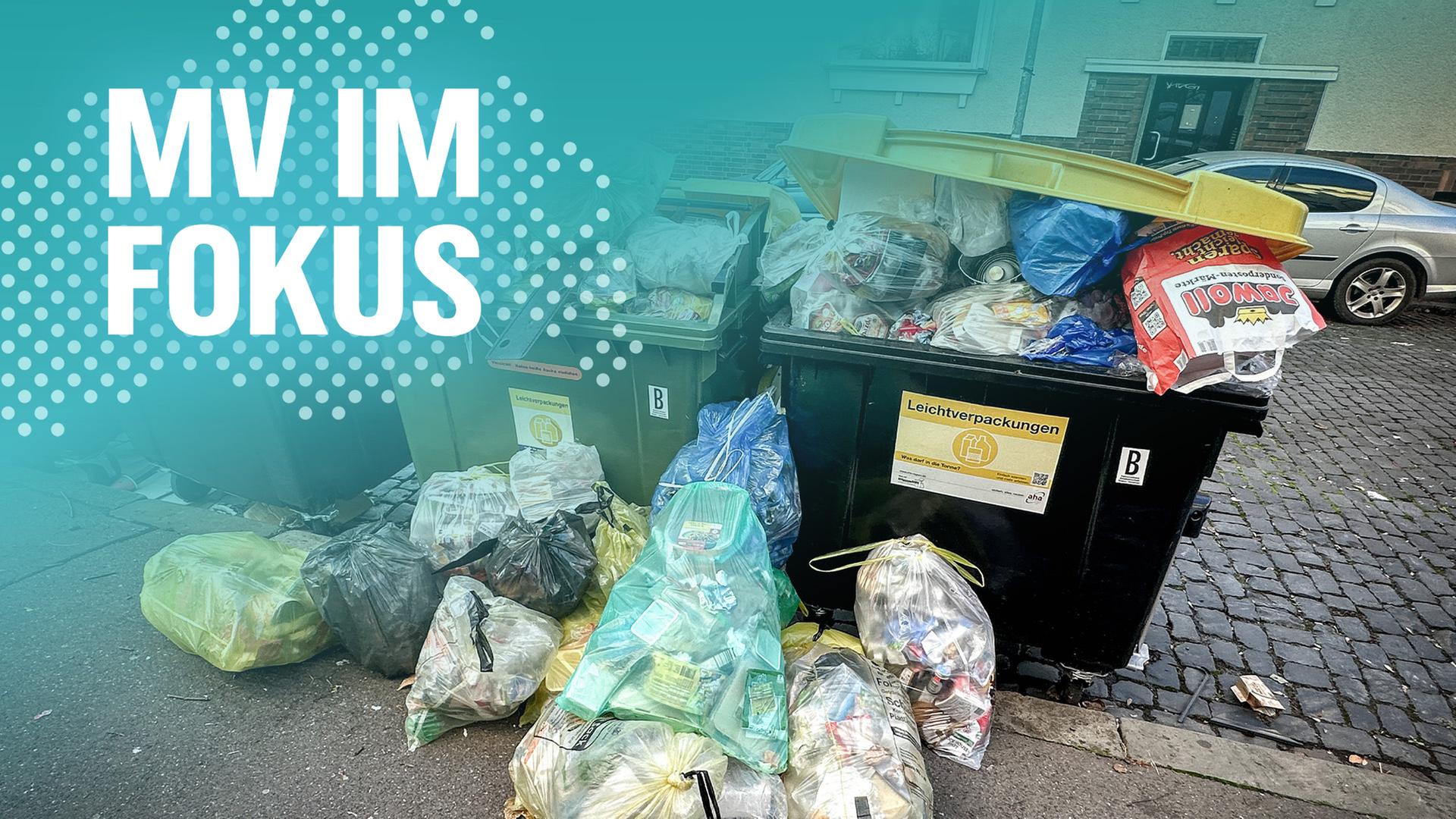 Kampf gegen die Müllflut: So will Rostock plastikfrei werden