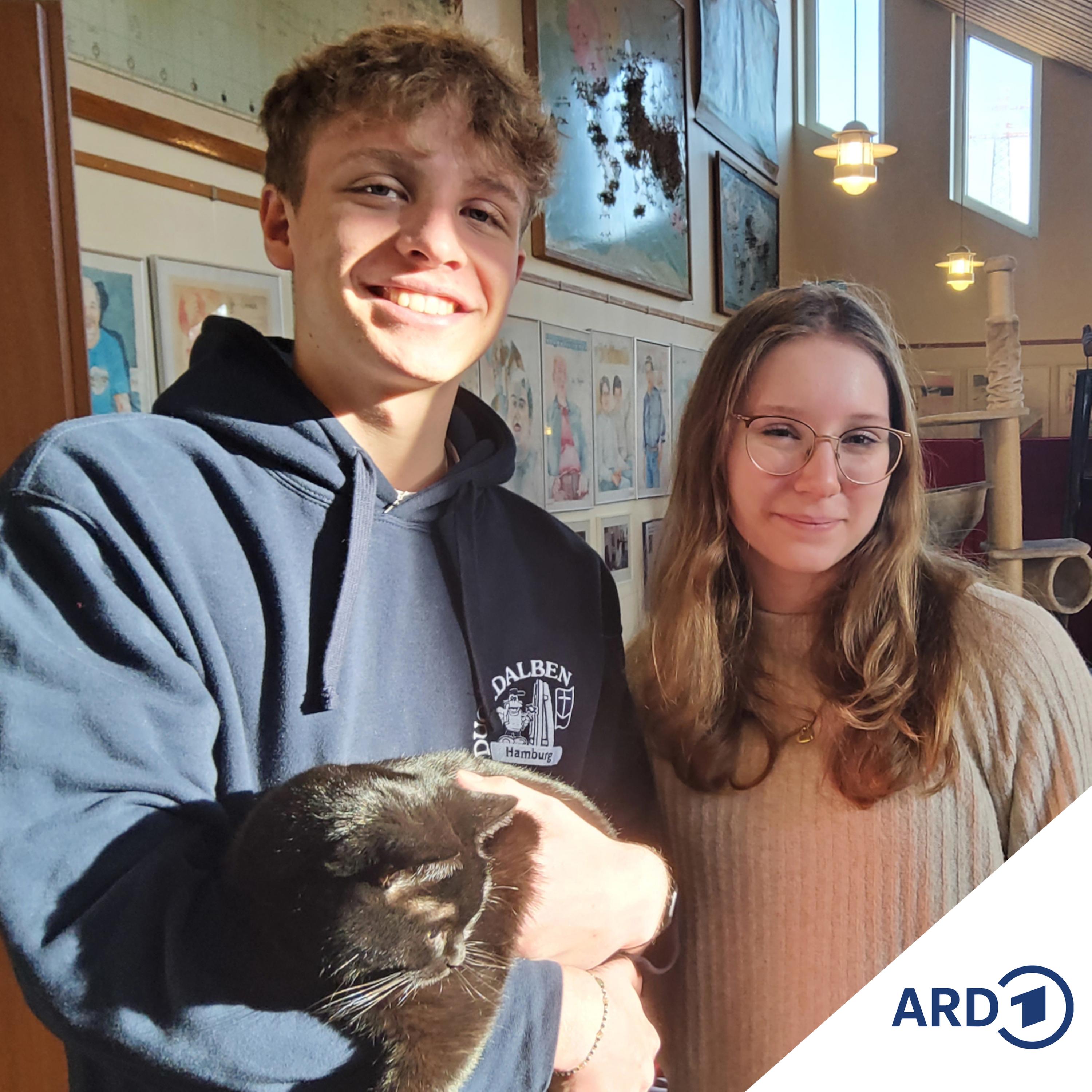 Das Hamburger Hafenkonzert