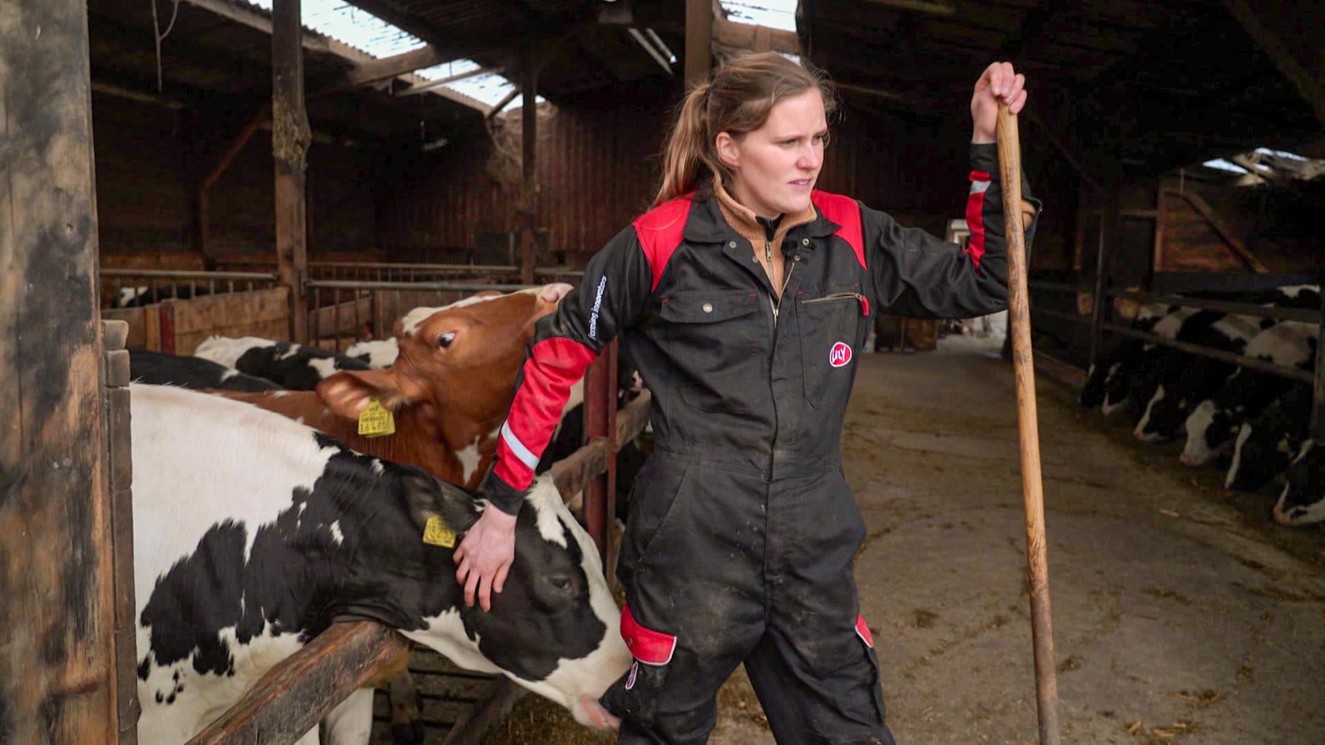 Die Landwirtin Lena Timmermann arbeitet in ihrem Kuhstall | Screenshot NDR