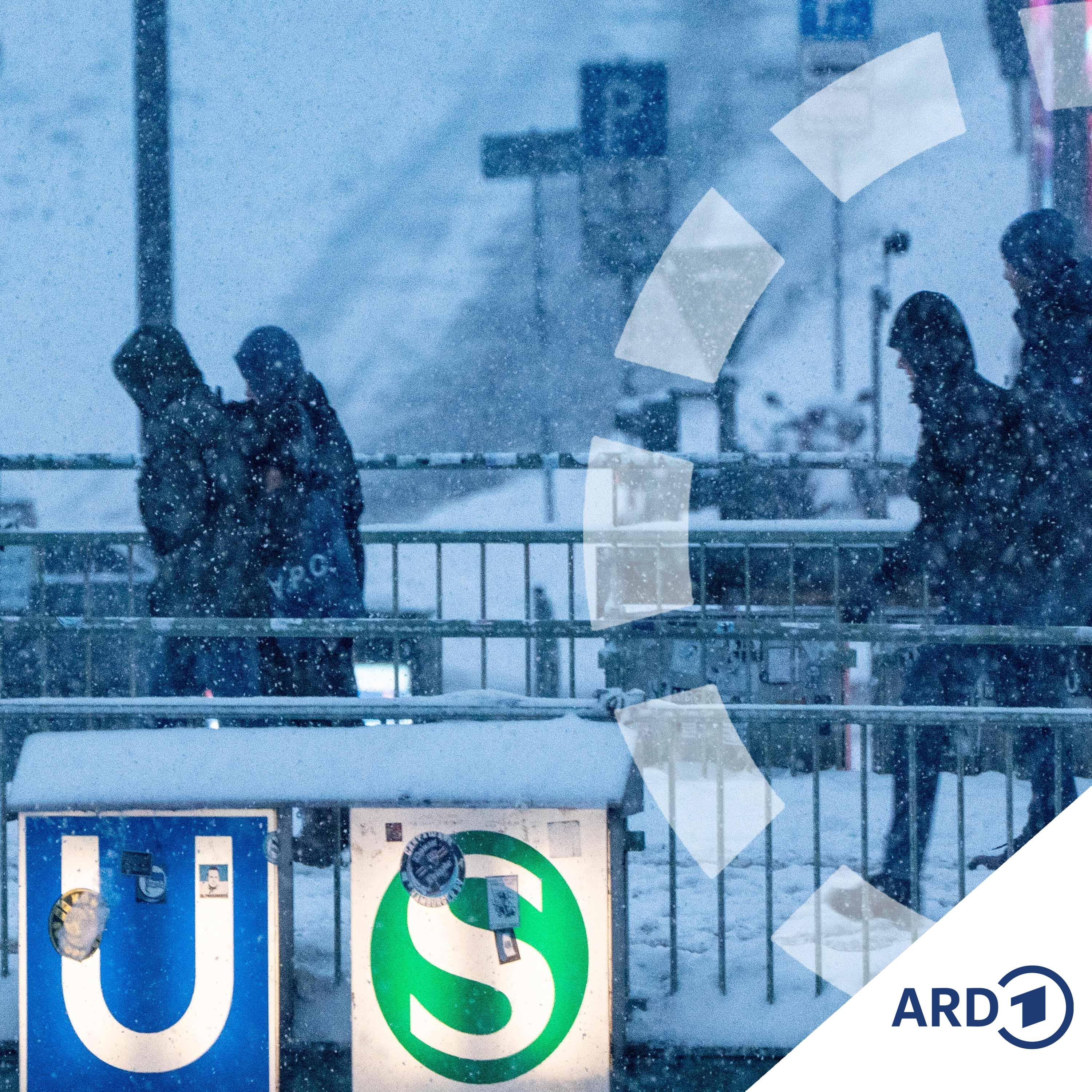 Winter-Wirtschaftsland: Legt Schneesturm Elli alles lahm? episode artwork
