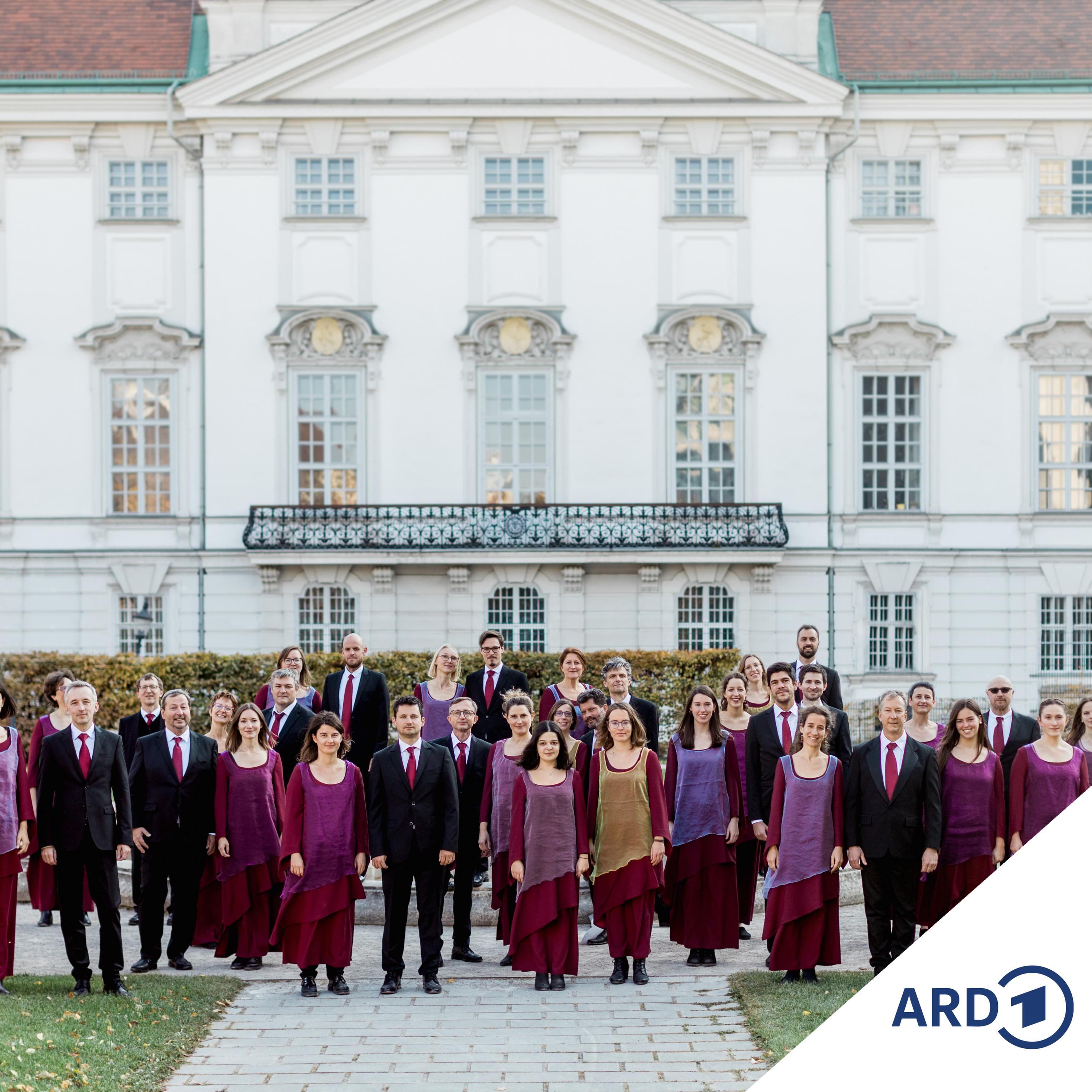 Chorus Sine Nomine - Ein Wiener Chor spielt mit Traditionen episode artwork
