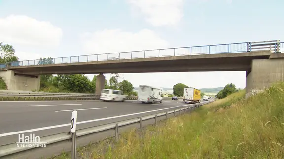 Autos und LKWs fahren auf der Autobahn unter einer Brücke.