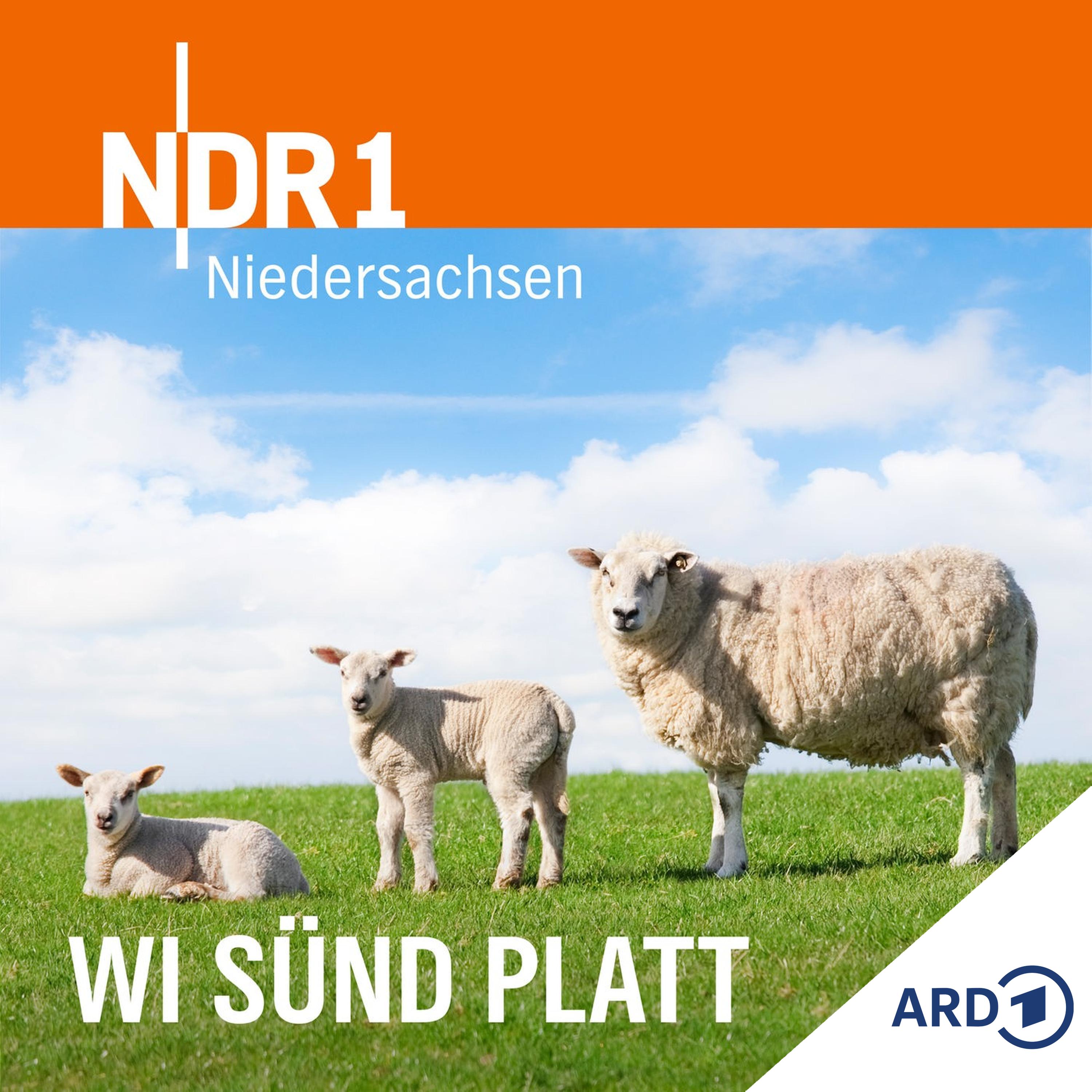 Wi sünd Platt