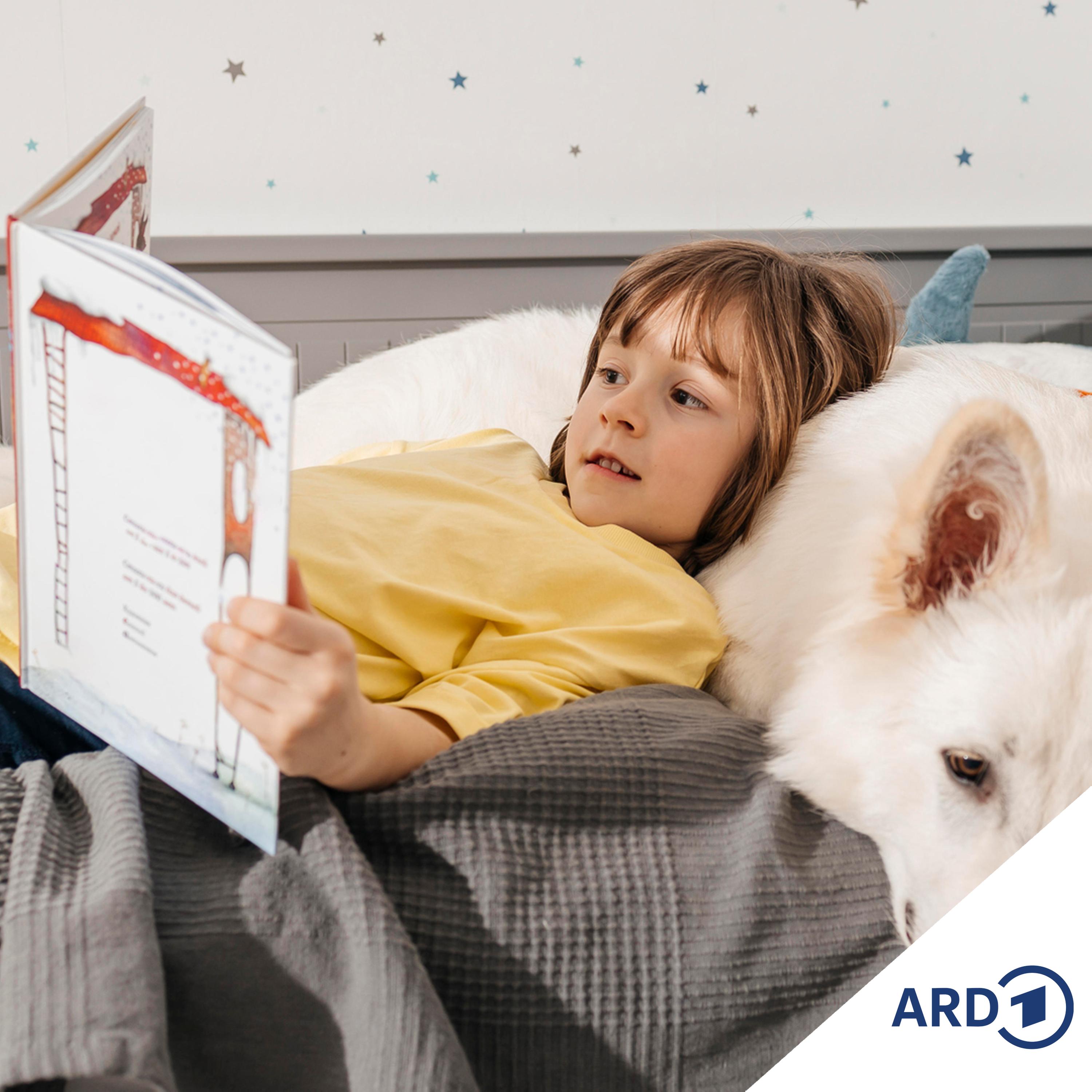 Mitredezeit: Leseratten und Bücherwürmer - was lest ihr gerne?