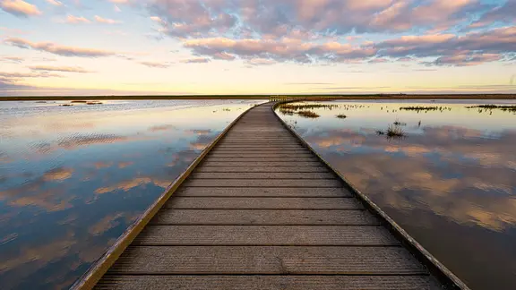 Ein Holzsteg auf dem Naturerlebnispfad Langwarder Groden in Butjadingen.