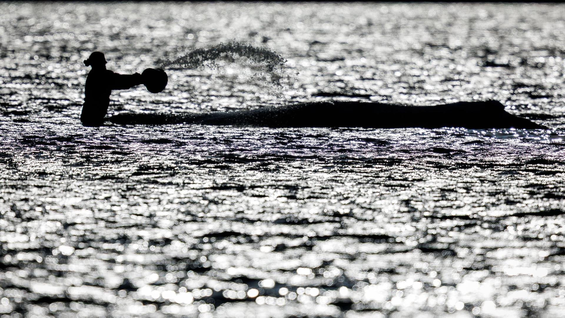 Wal wird mit Wasser bespritz | Jens BÃ¼ttner/dpa