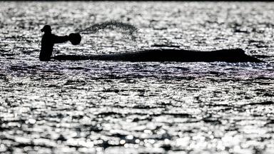 Rettungsversuch mit "Aquarium" geplant