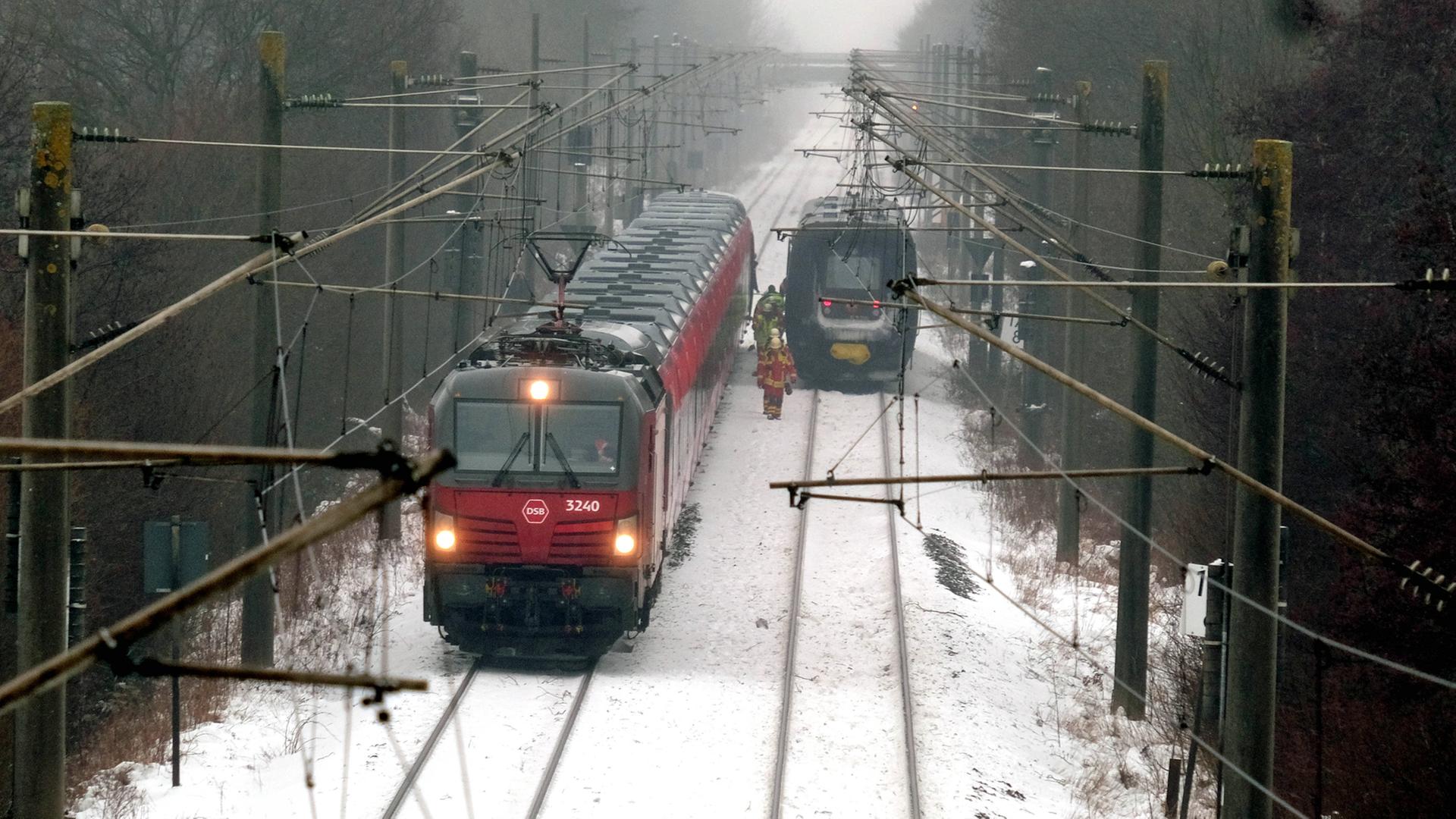 Zug mit mehr als 100 Passagieren bei Flensburg liegen geblieben