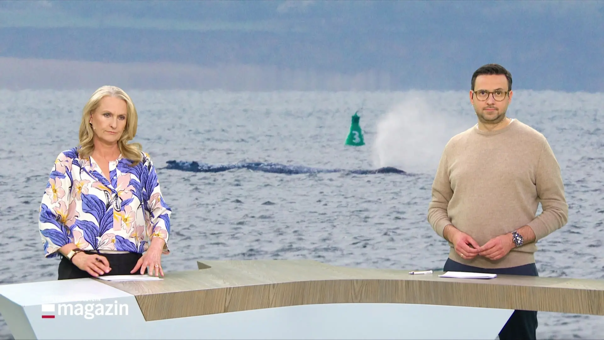 Schleswig-Holstein Magazin | 20.04.2026