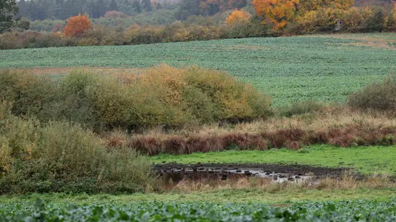 An diesem Wasserloch auf einem Feld bei Klein Upahl sucht die Polizei nach Spuren von Fabians Tod. Zu diesem Zweck wurde es leergepumpt. | Bernd Wüstneck/dpa +++ dpa-Bildfunk +++ Ein Wasserloch, an dem Menschen nach Spuren suchten, nachdem der tote Fabian gefunden wurde.