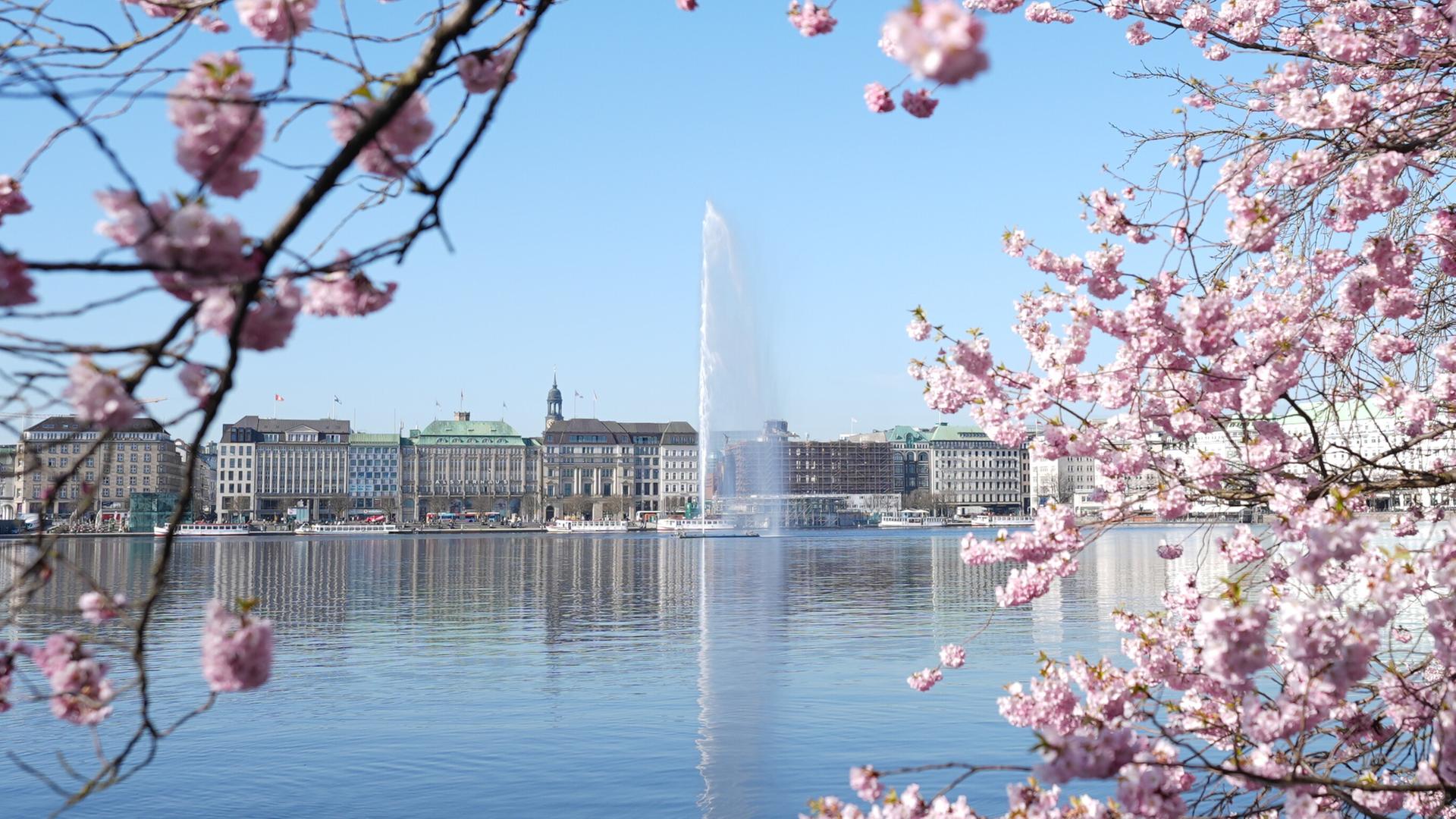 Eingeschaltet: Hamburger Alsterfontäne sprudelt wieder
