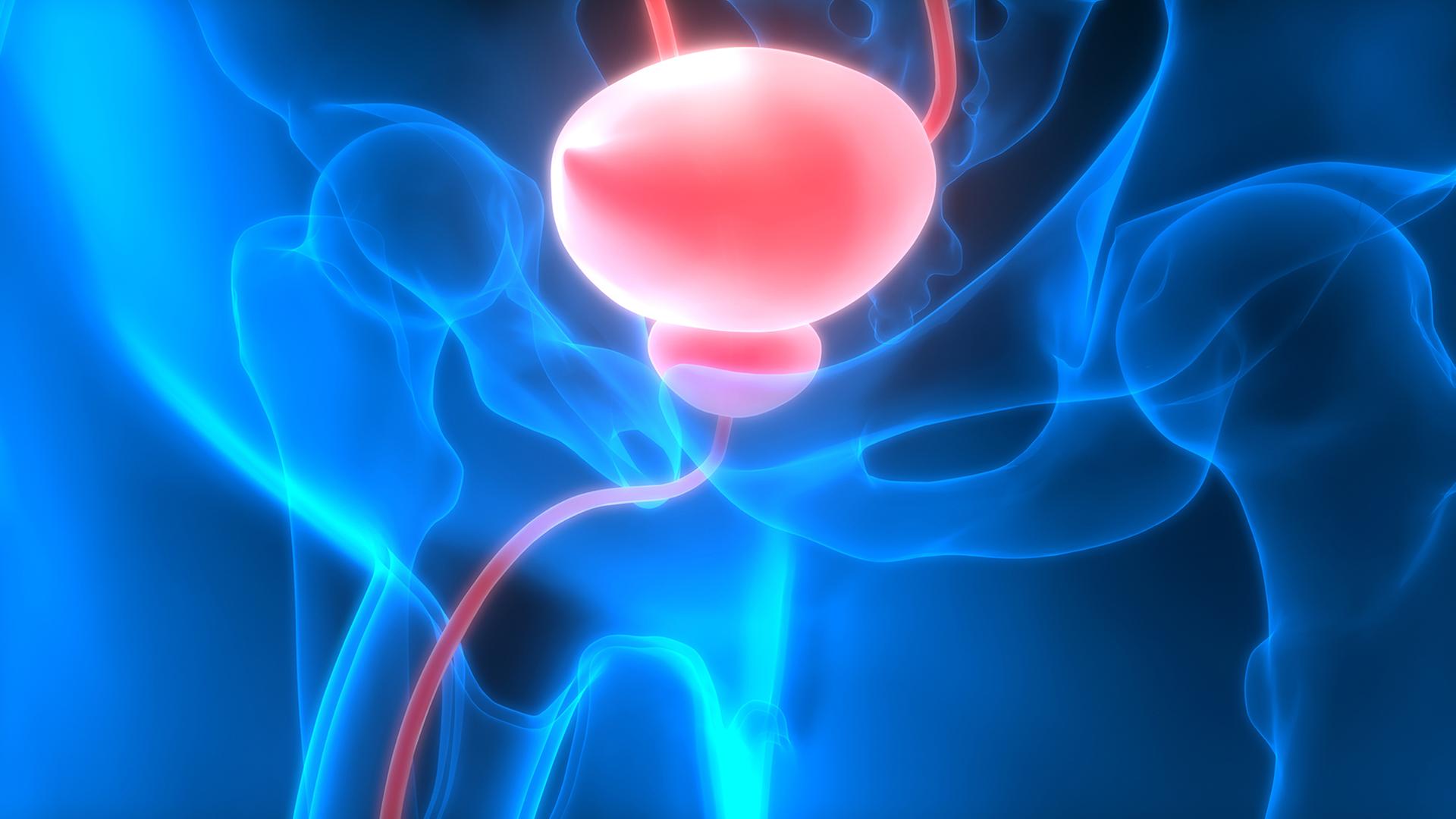 selbst prostata befriedigen Prostata Massage | Magic X main image 1
