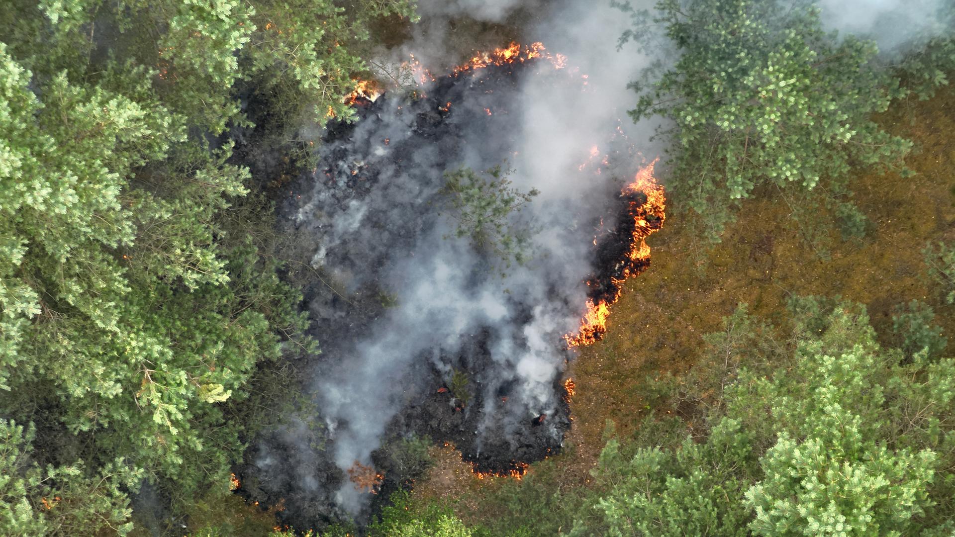 Waldbrand im Müritz-Nationalpark: Feuerwehr kämpft weiter
