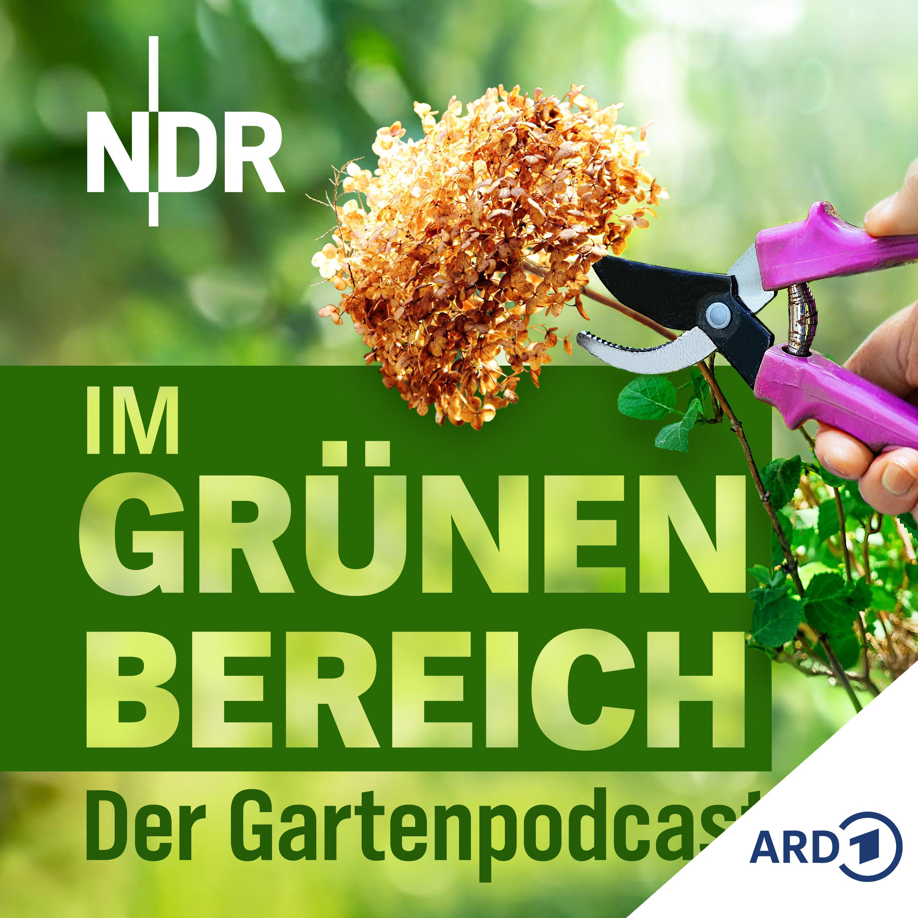 Frühlingsschnitt: So schneidet ihr Hortensien, Lavendel und Clematis richtig episode artwork