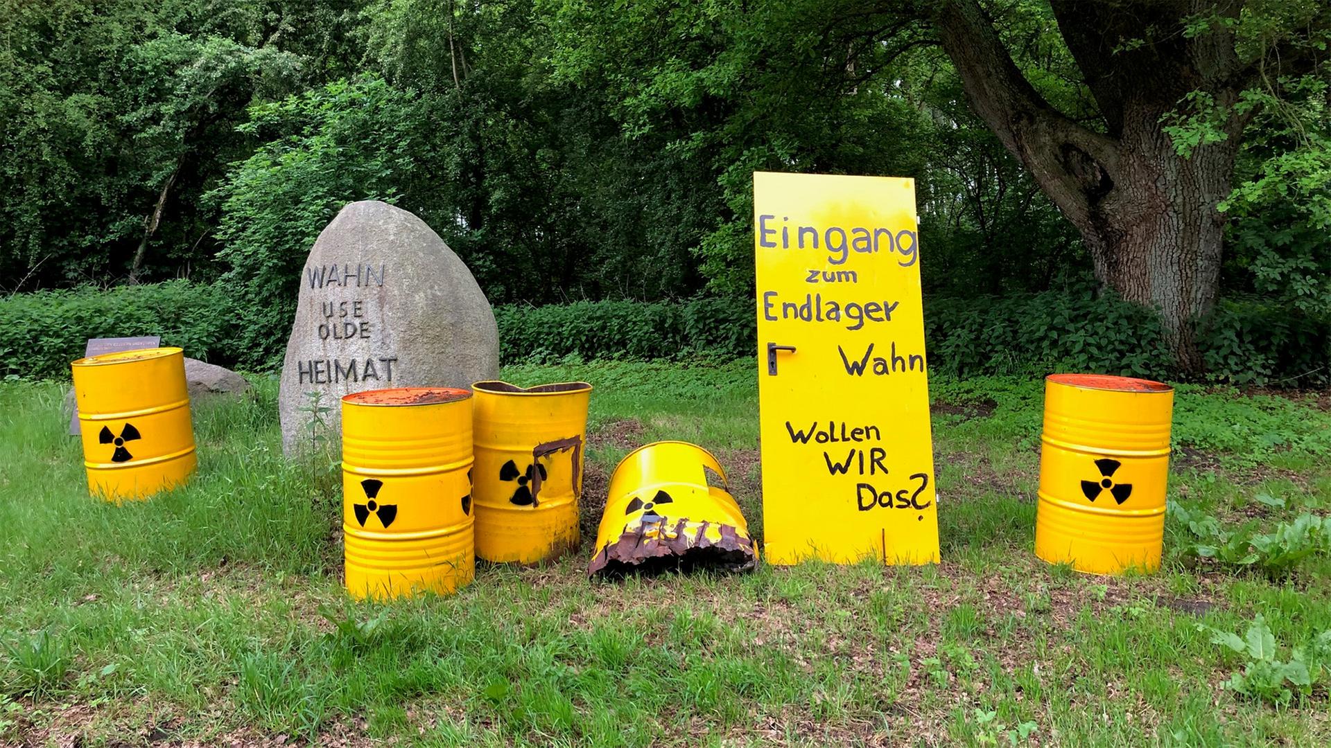 Protestschilder gegen ein geplantes Endlager stehen an einer Straße zwischen Lathen und Sögel. | NDR, Hedwig Ahrens