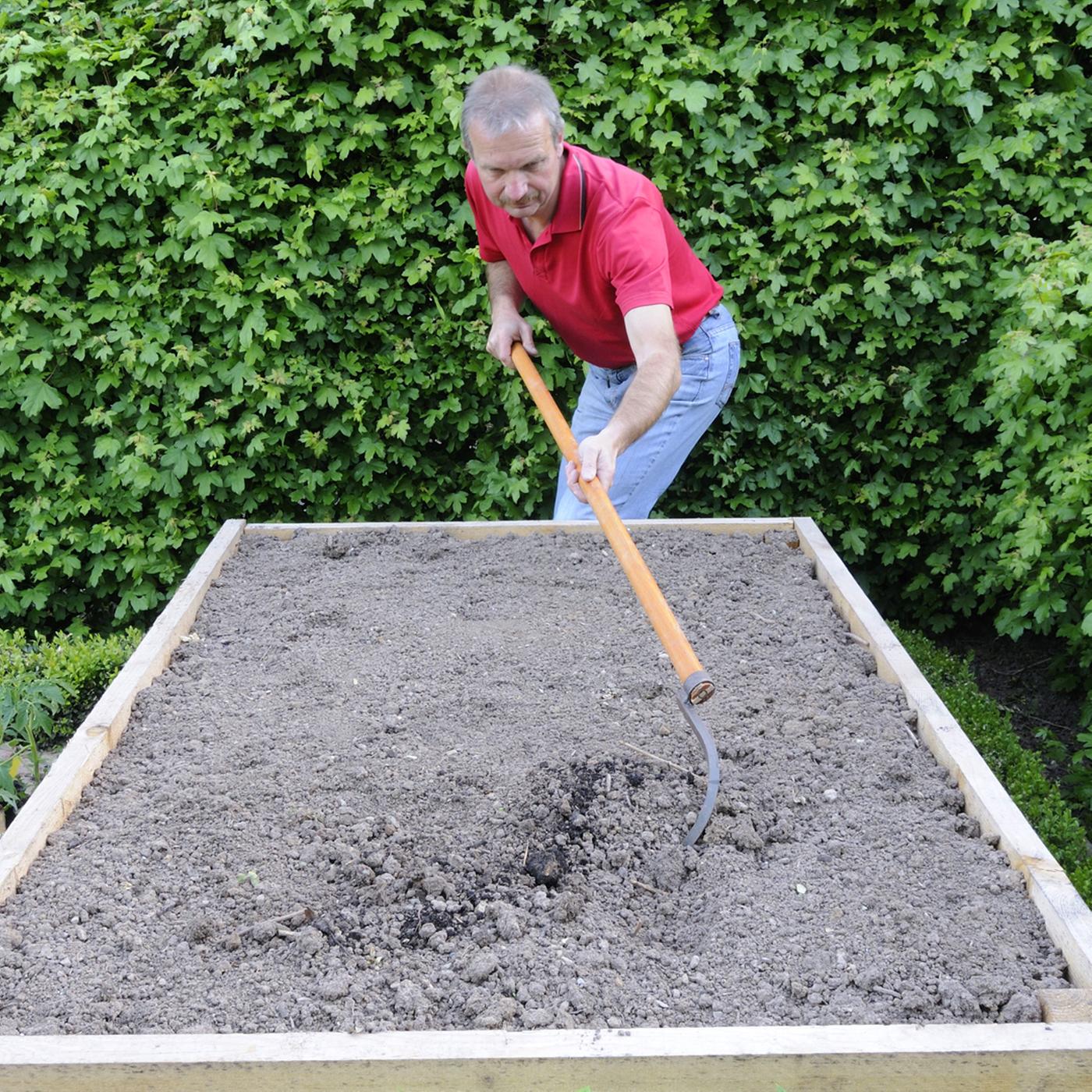 rhododendron dünger für kamelien TerraDomi Kamelien- und Hortensiendünger 1 Liter Flüssigdünger Konzent –  TerraDomi Onlineshop