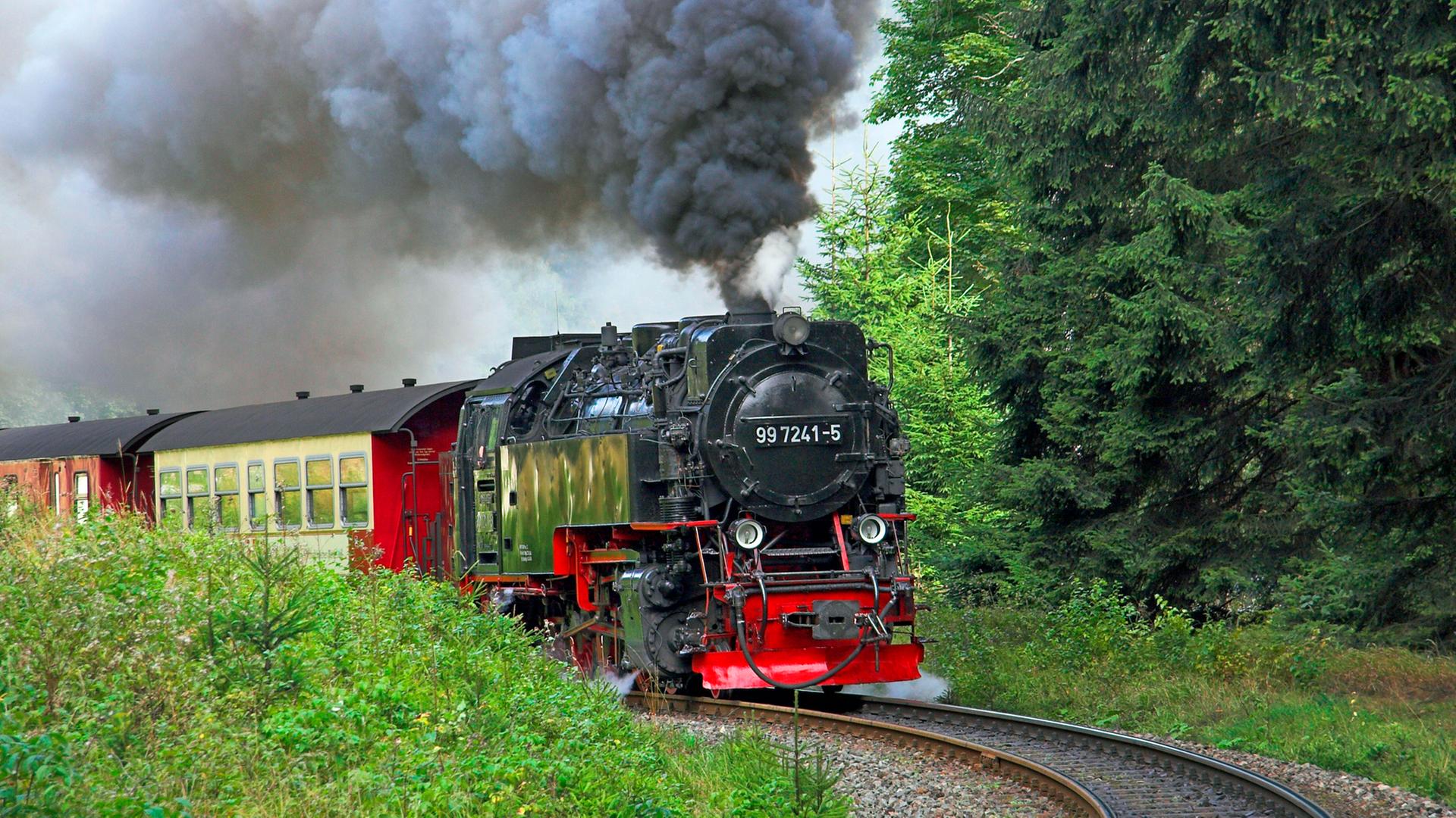 Die Brockenbahn fährt im Sommer durch den Harz. | picture-alliance/United Archives/91070