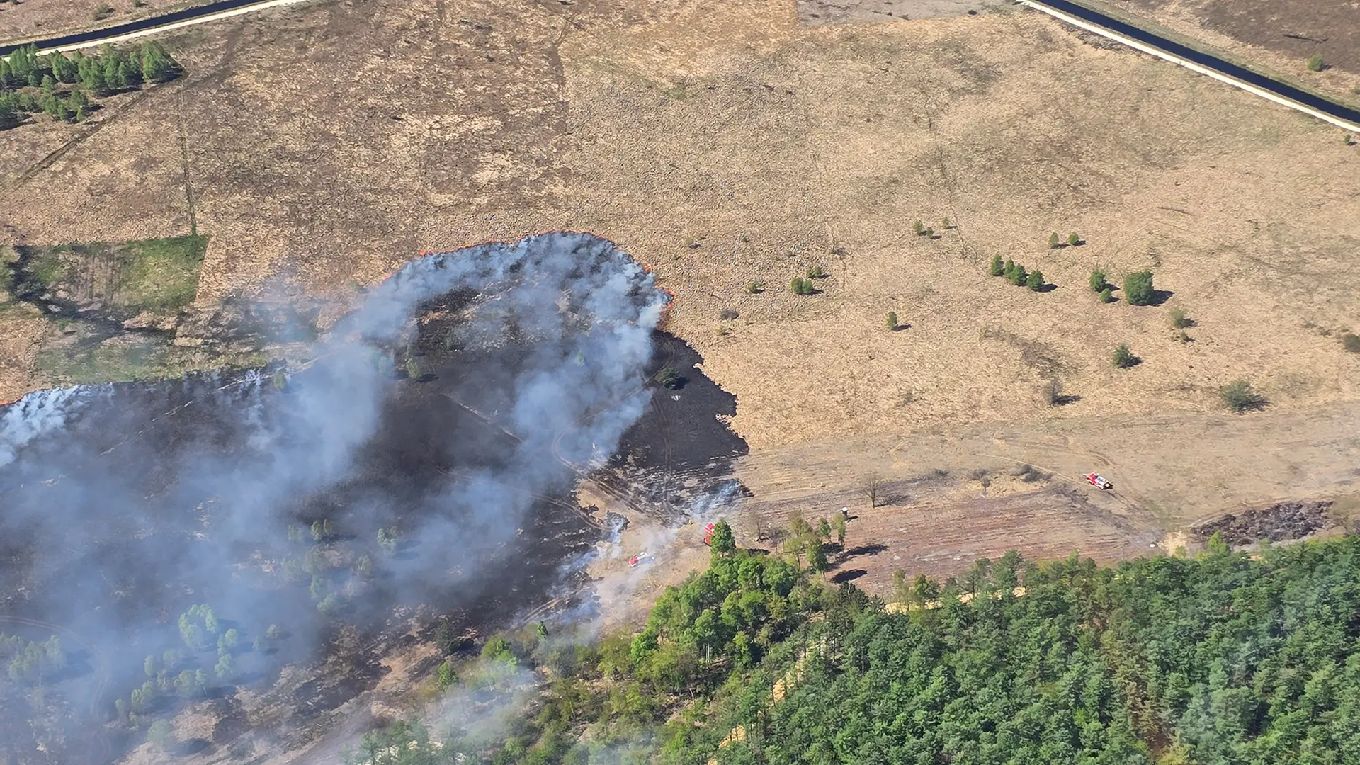 Übungsgelände der WTD 91: Wieder Feuer bei der Bundeswehr in Meppen