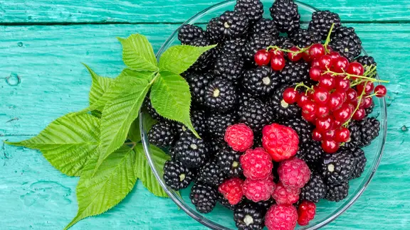 Brombeeren, Himbeeren und rote Johannisbeeren auf einem Glasteller.