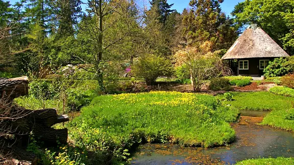 Frühling im Botanischen Garten Rostock.
