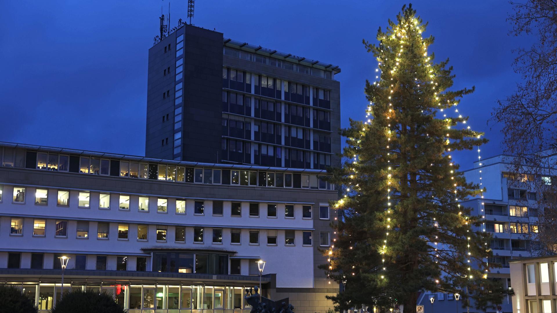 Ein Weihnachtsbaum steht vor dem Rathaus in Hameln. | Stefan Rampfel, dpa