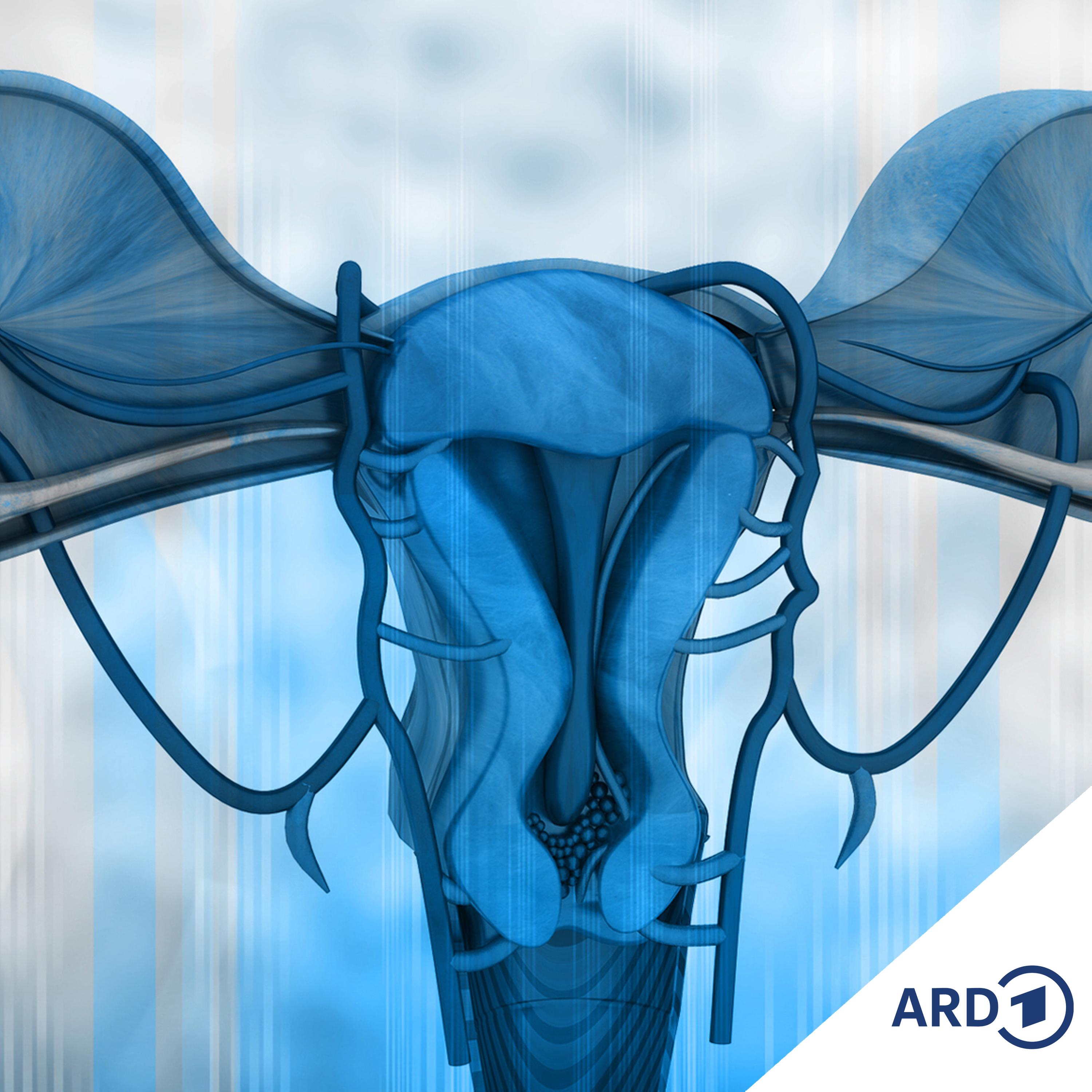 Nothing Serious - ARD Comedy-Hörspiele