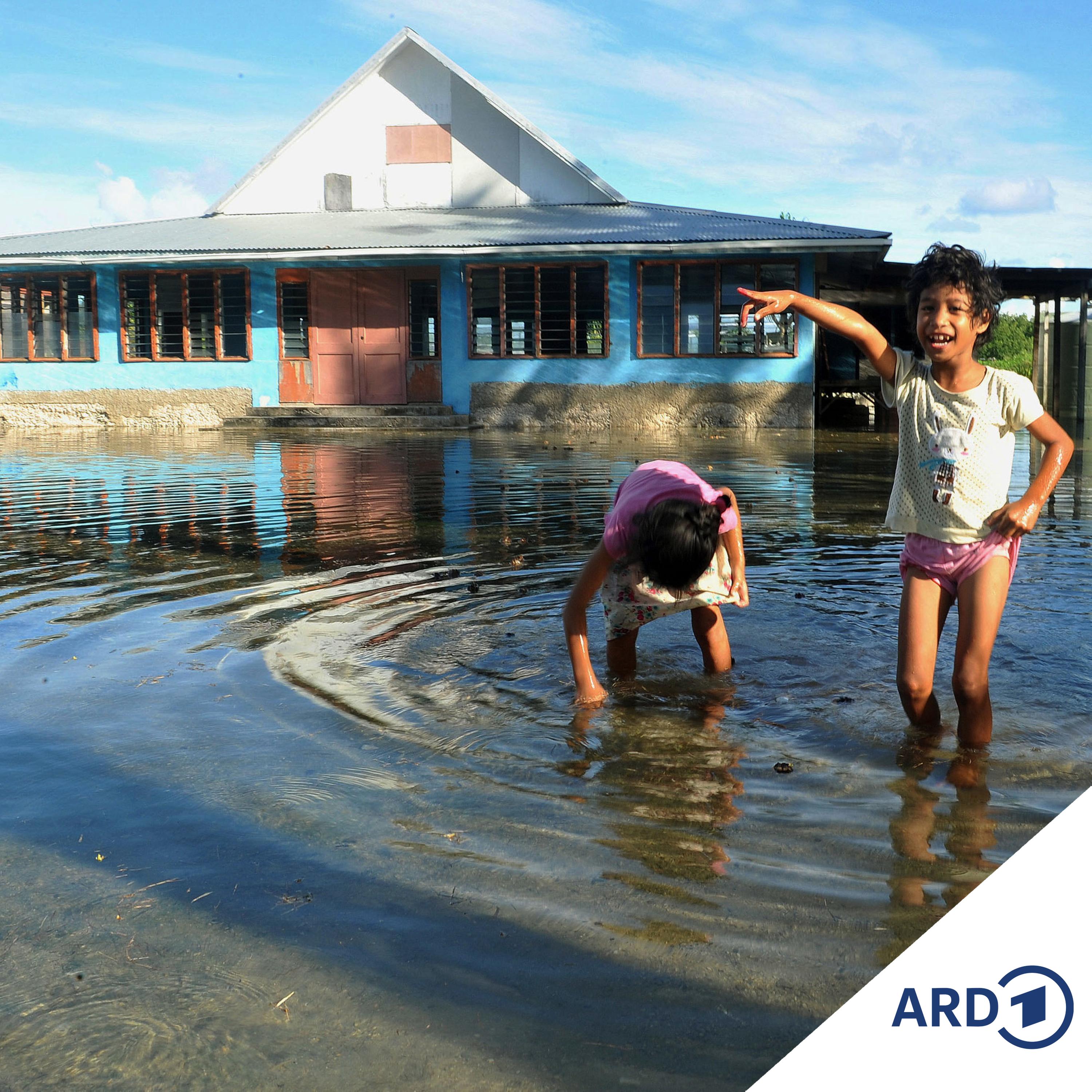 Internationaler Gerichtshof sieht saubere Umwelt als Menschenrecht