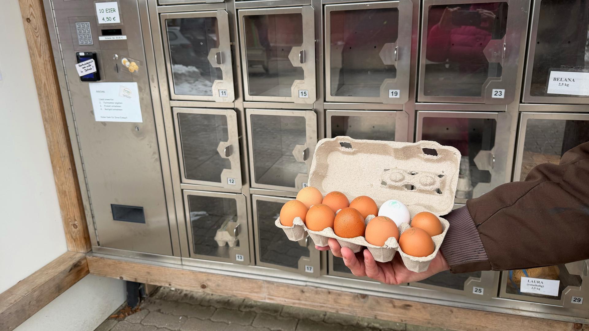 Landwirte aus SH fordern: Eierkartons bitte nicht zurückbringen