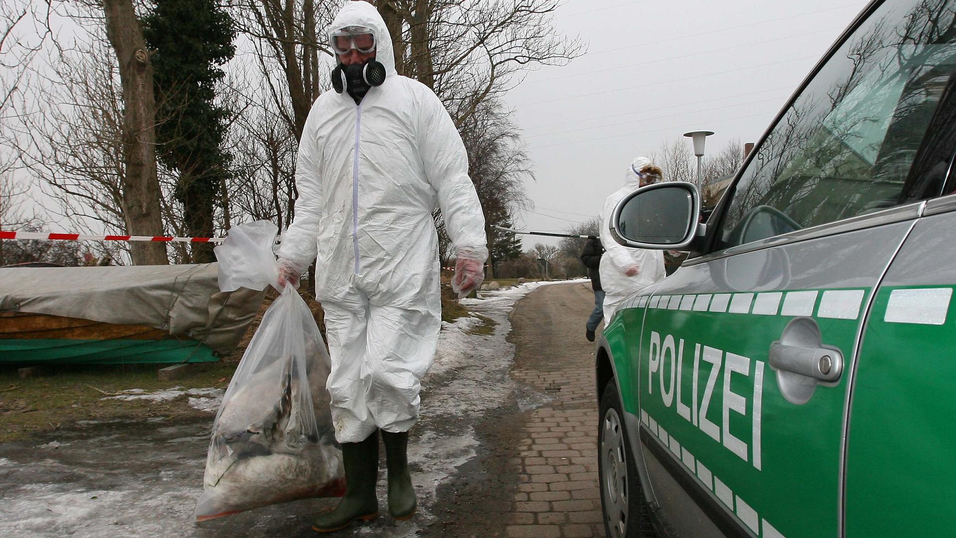 Hotspot Rügen: Vor 20 Jahren kam die Vogelgrippe nach Deutschland